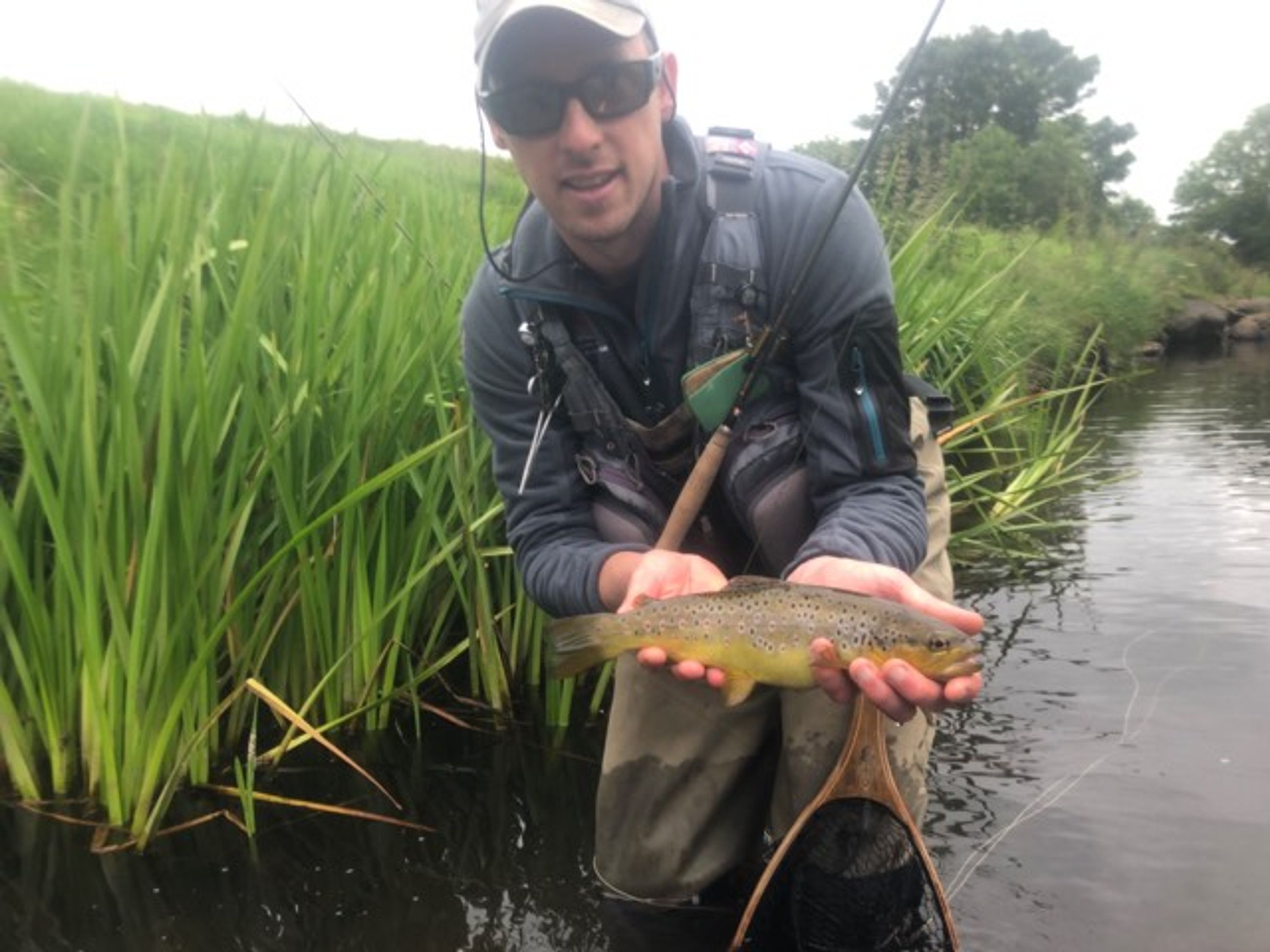 Syon Park Fisheries