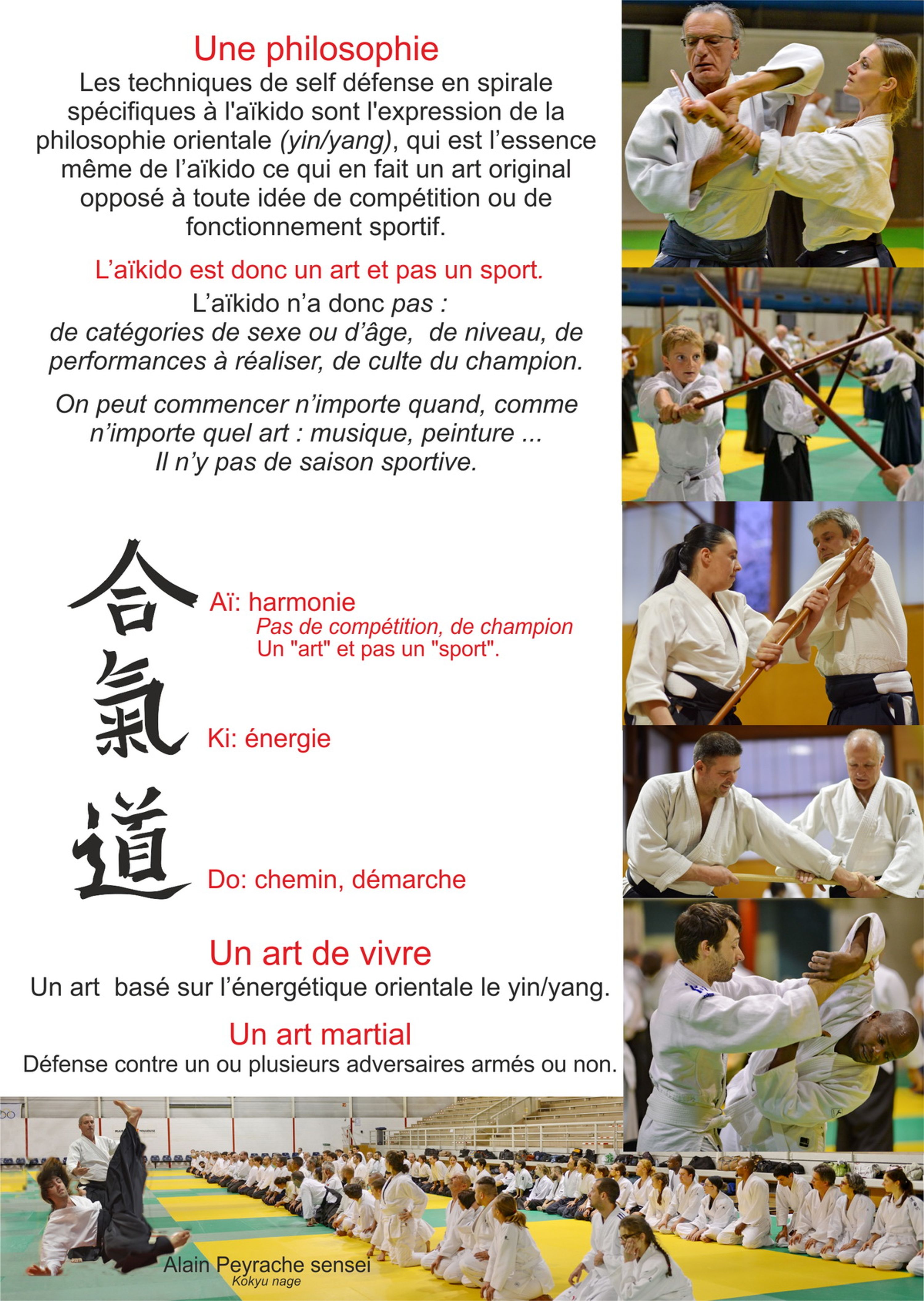 Aikido Lyon 69