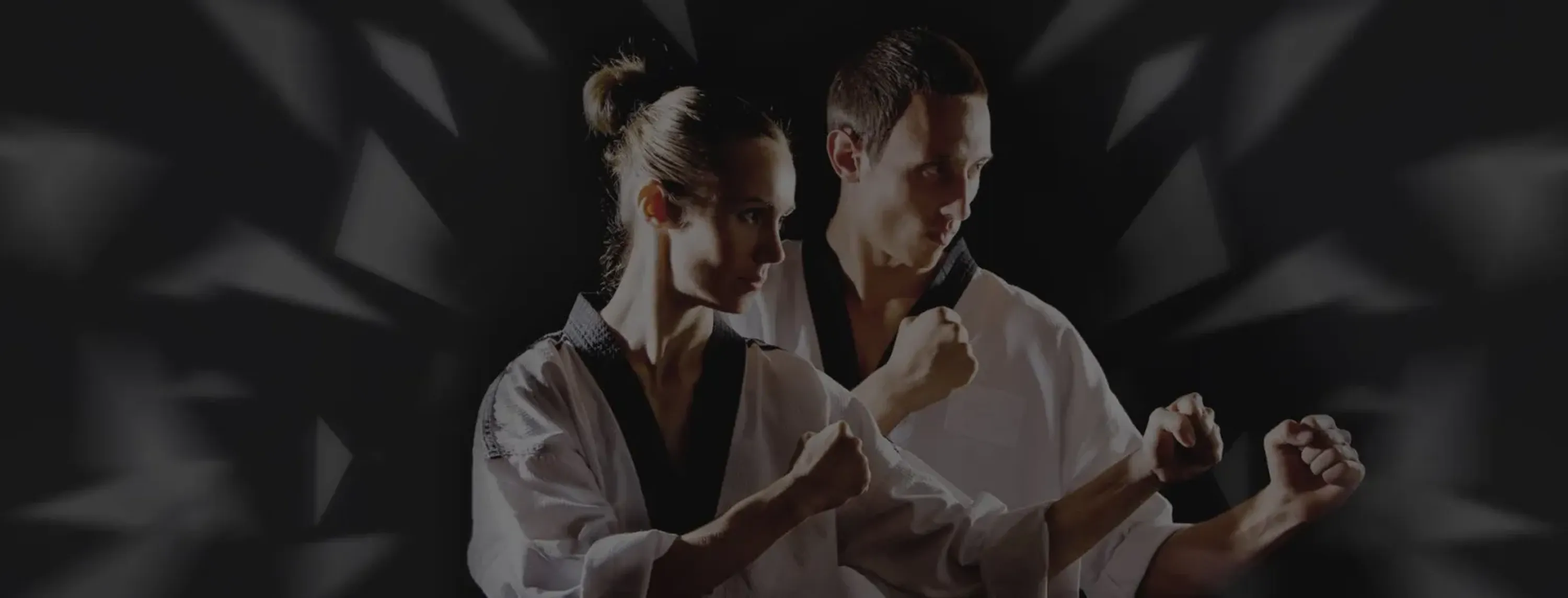 Freestyle TaeKwonDo and Brazilian Jiu Jitsu Classes