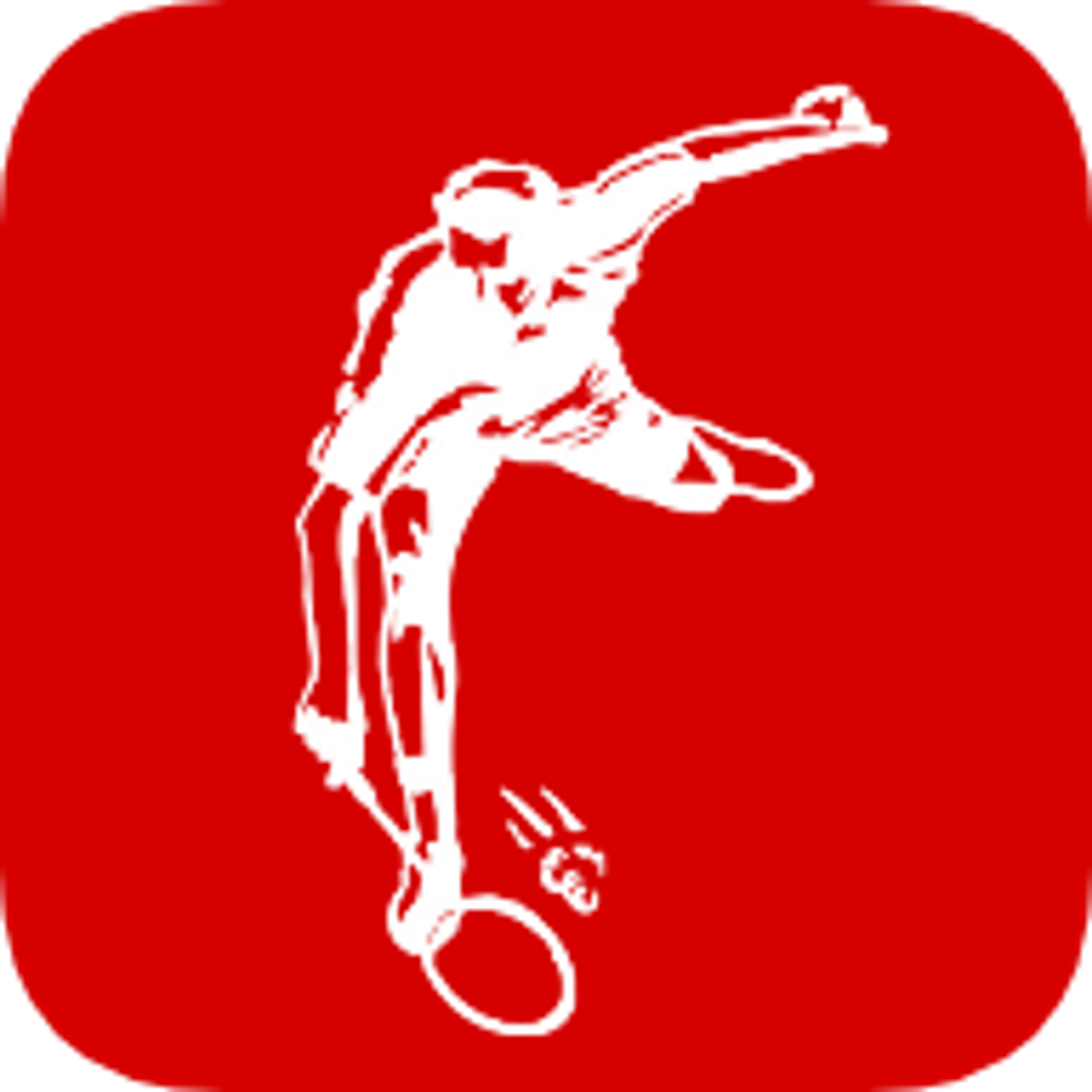 Sports Badminton Club Wittelsheim