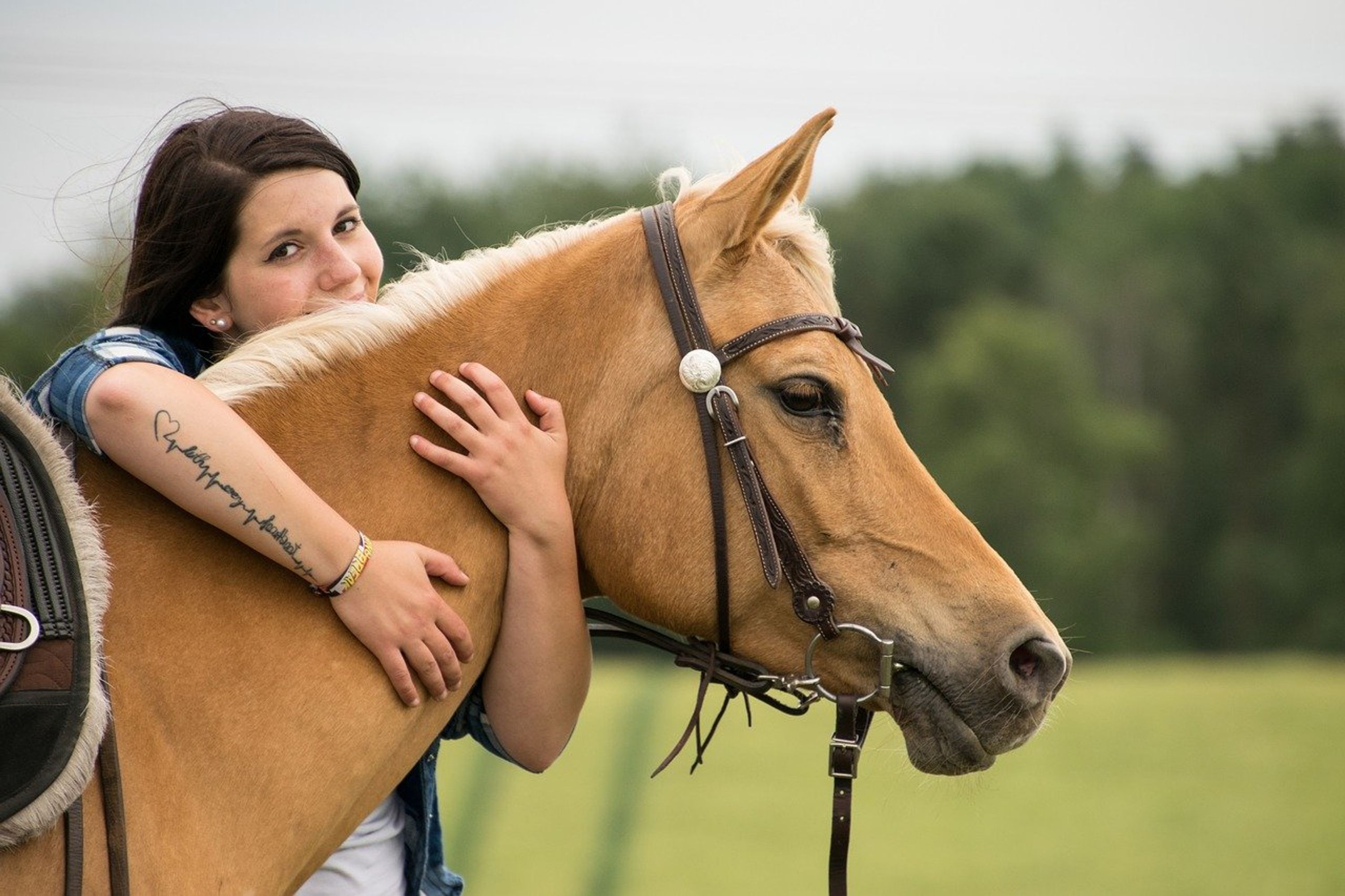 Horse Meditation Program