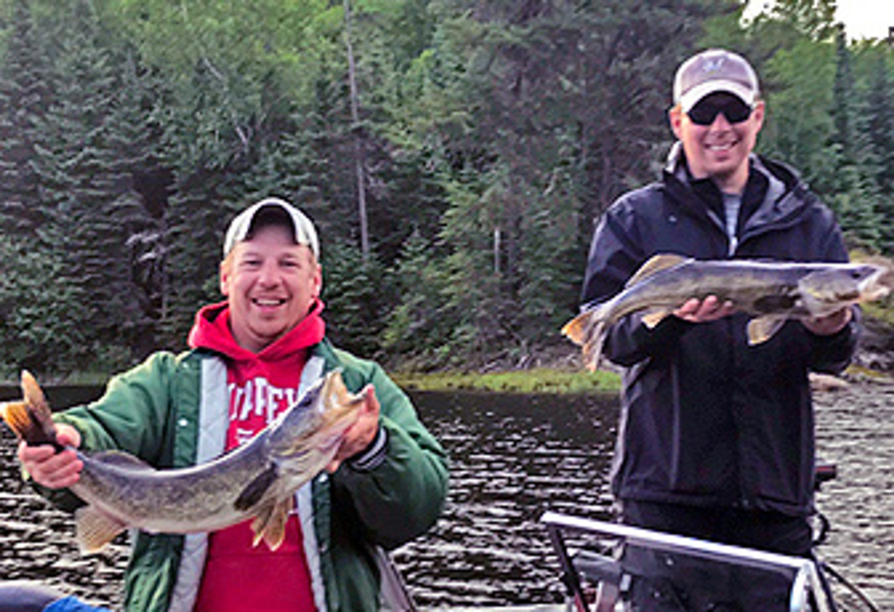 Timber Edge Camps