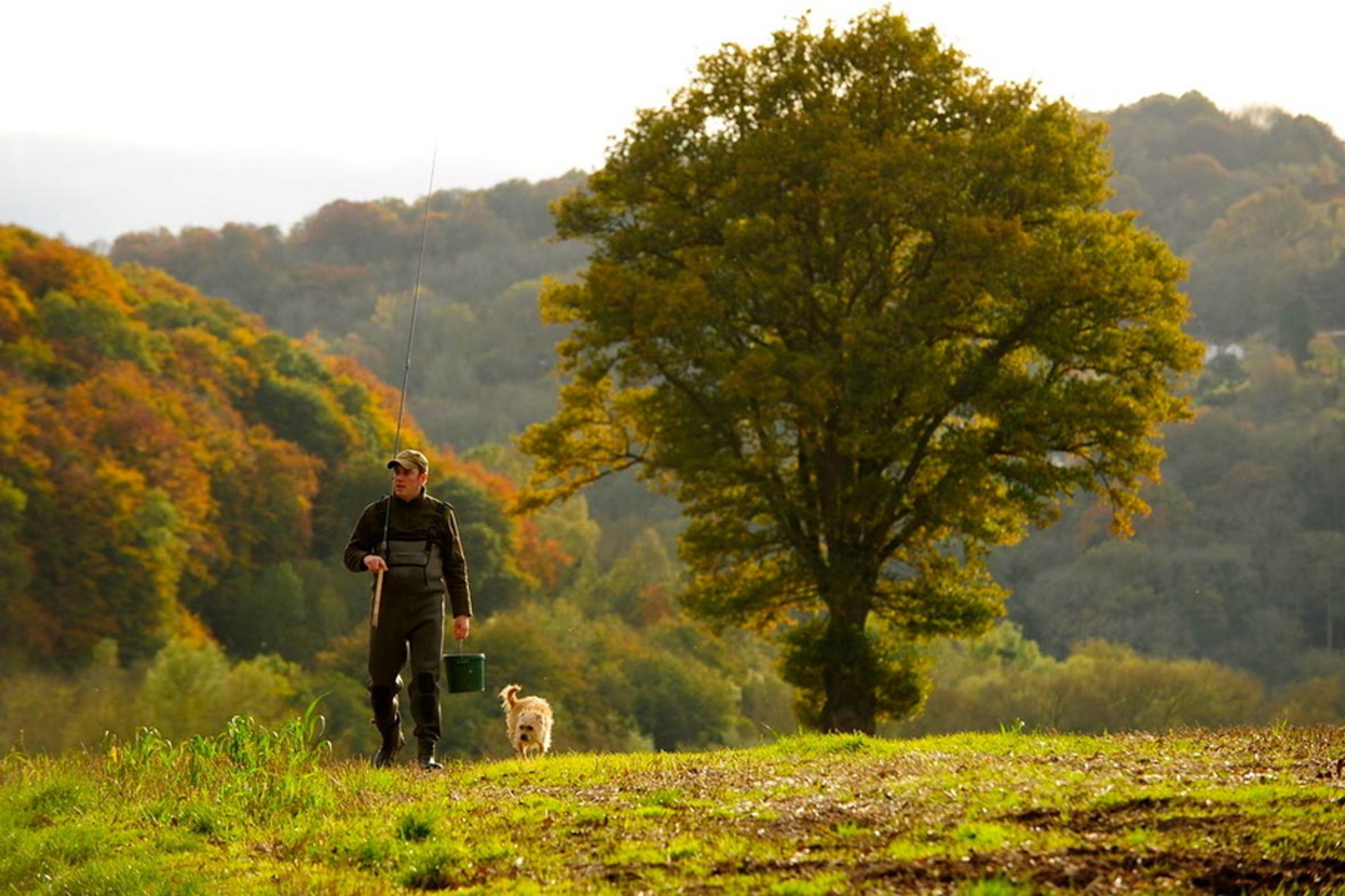Angling Dreams - Upper Breinton (River Wye)