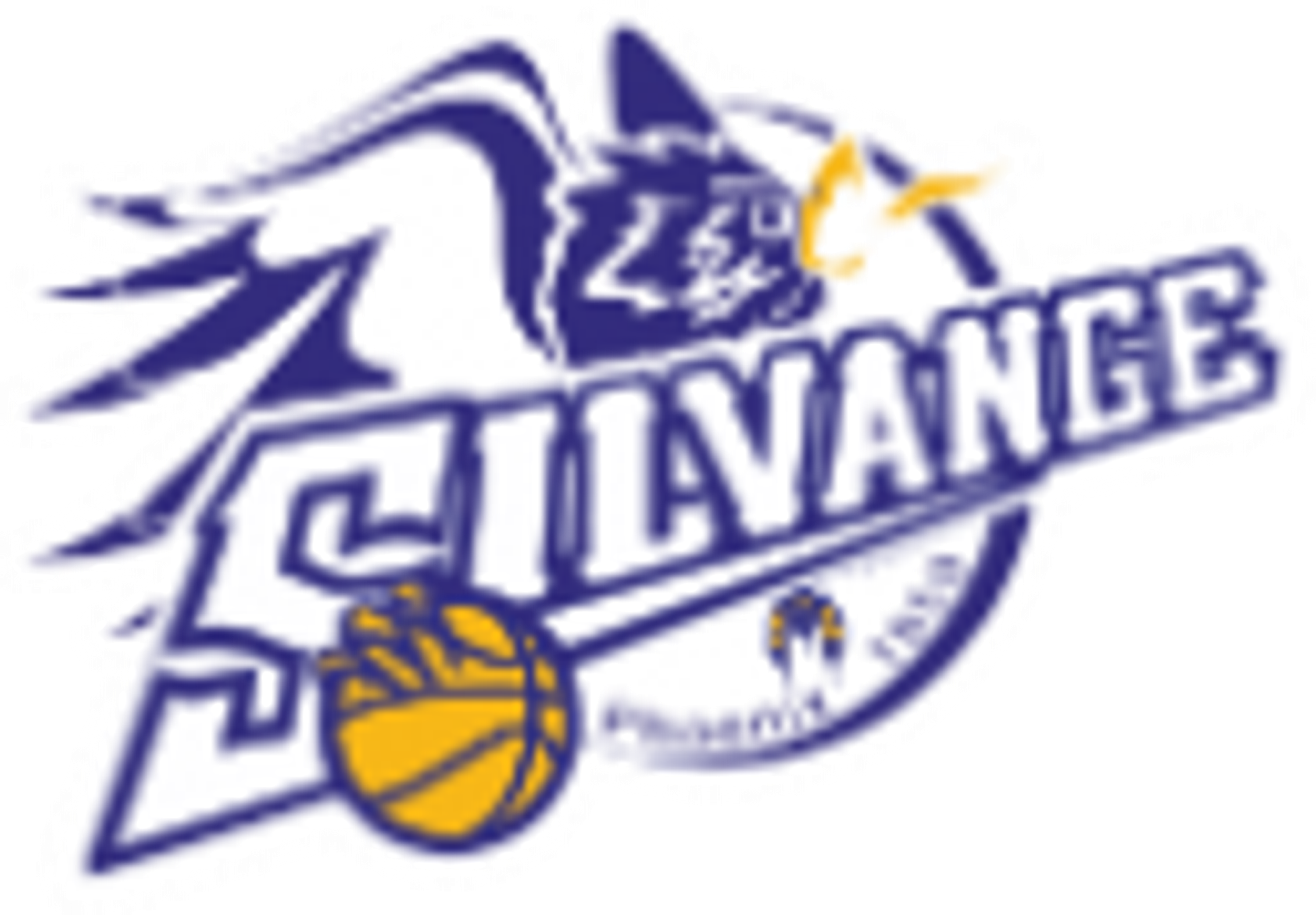 Us Silvange Basket