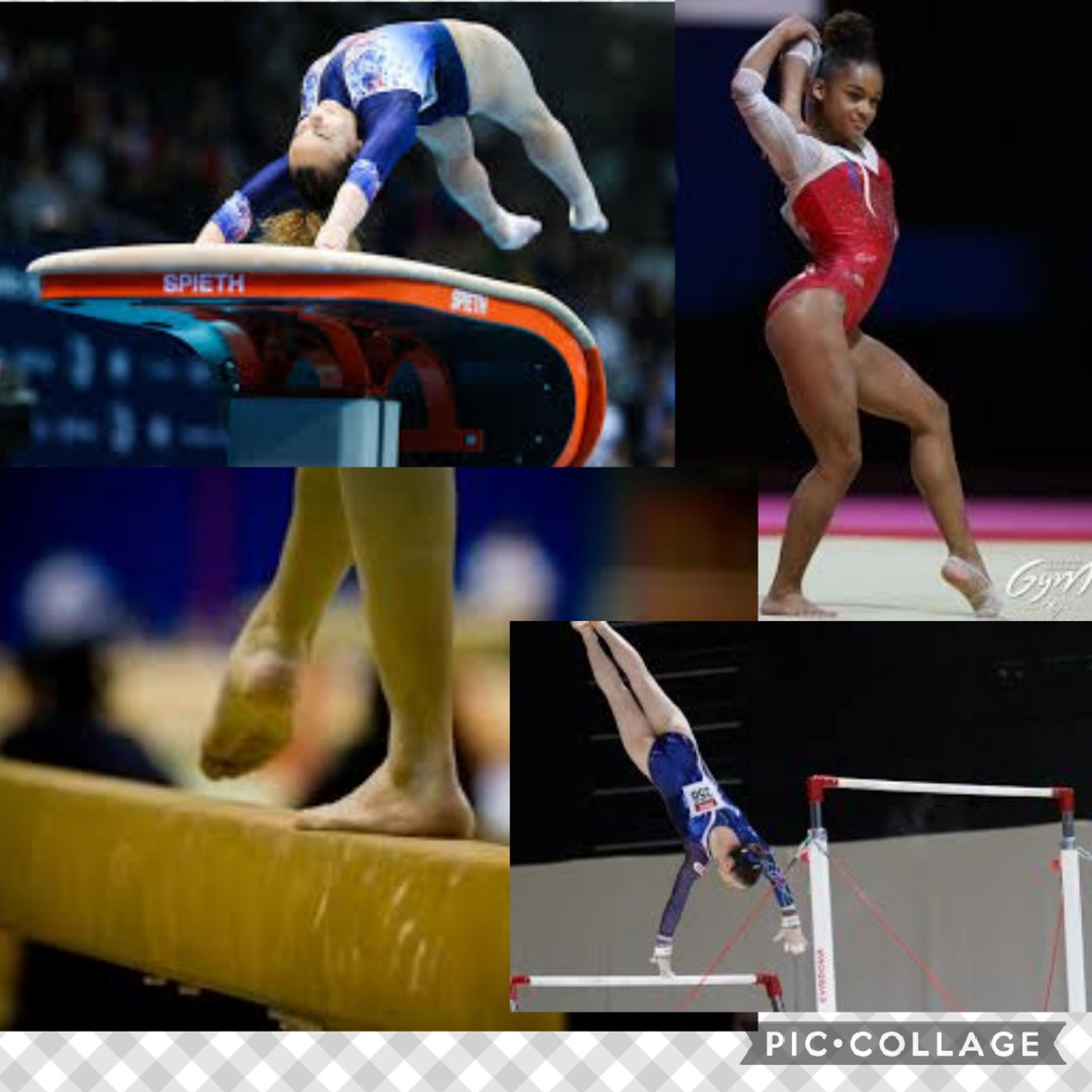 Association Gymnique Fameckoise