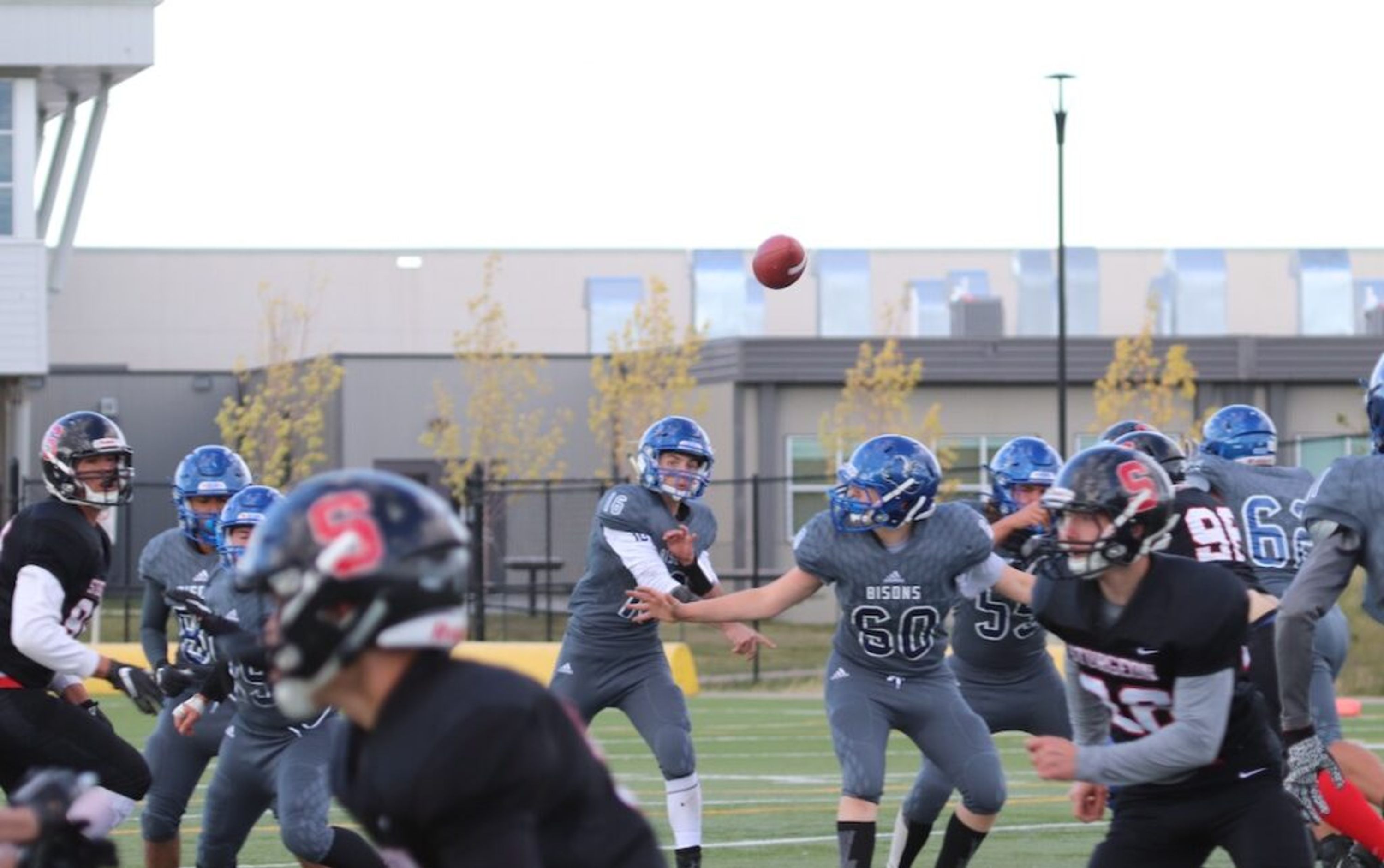 Ardrossan Bisons Football Club