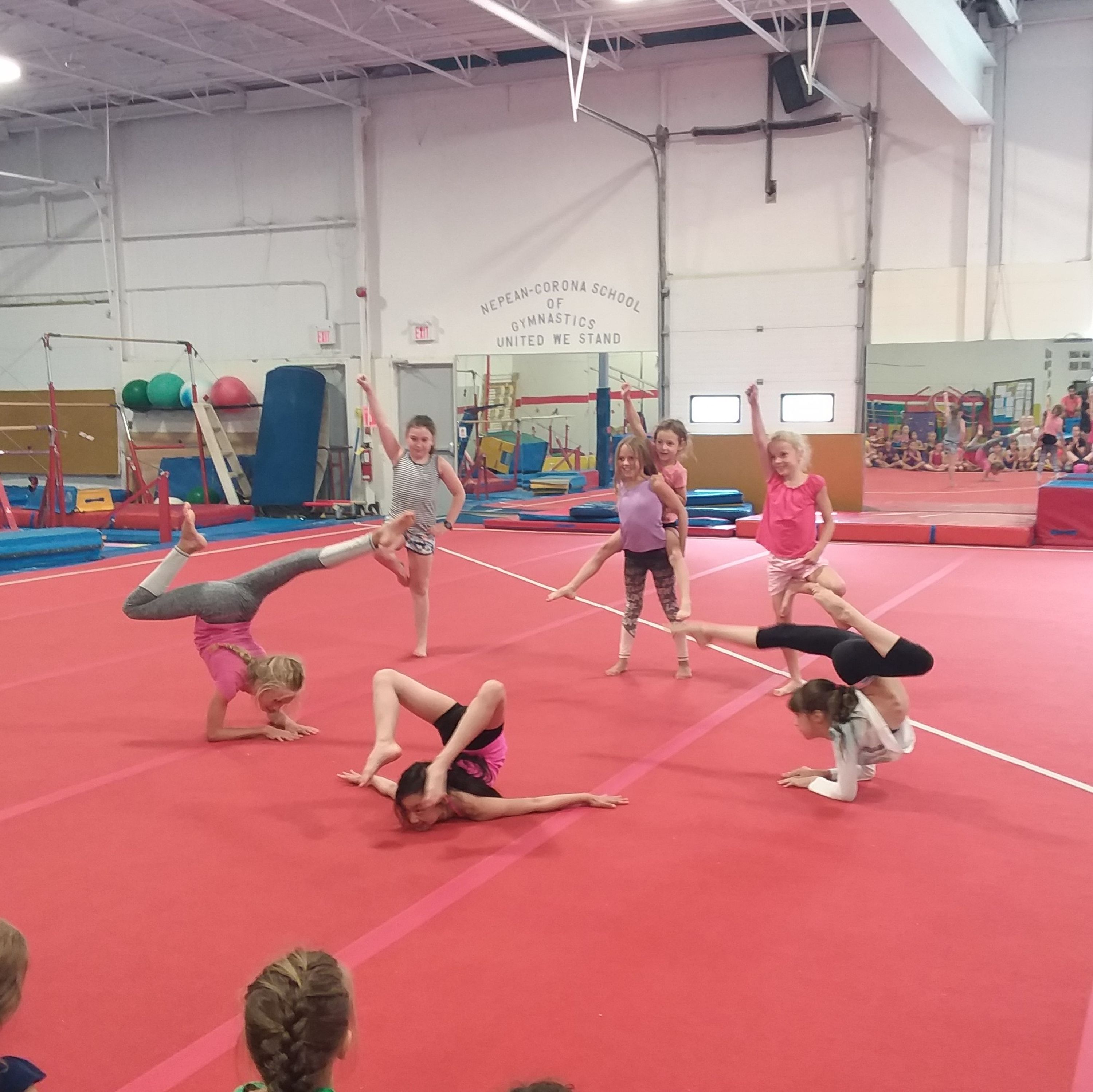 Summer Camp Week 1-A Bug's Life