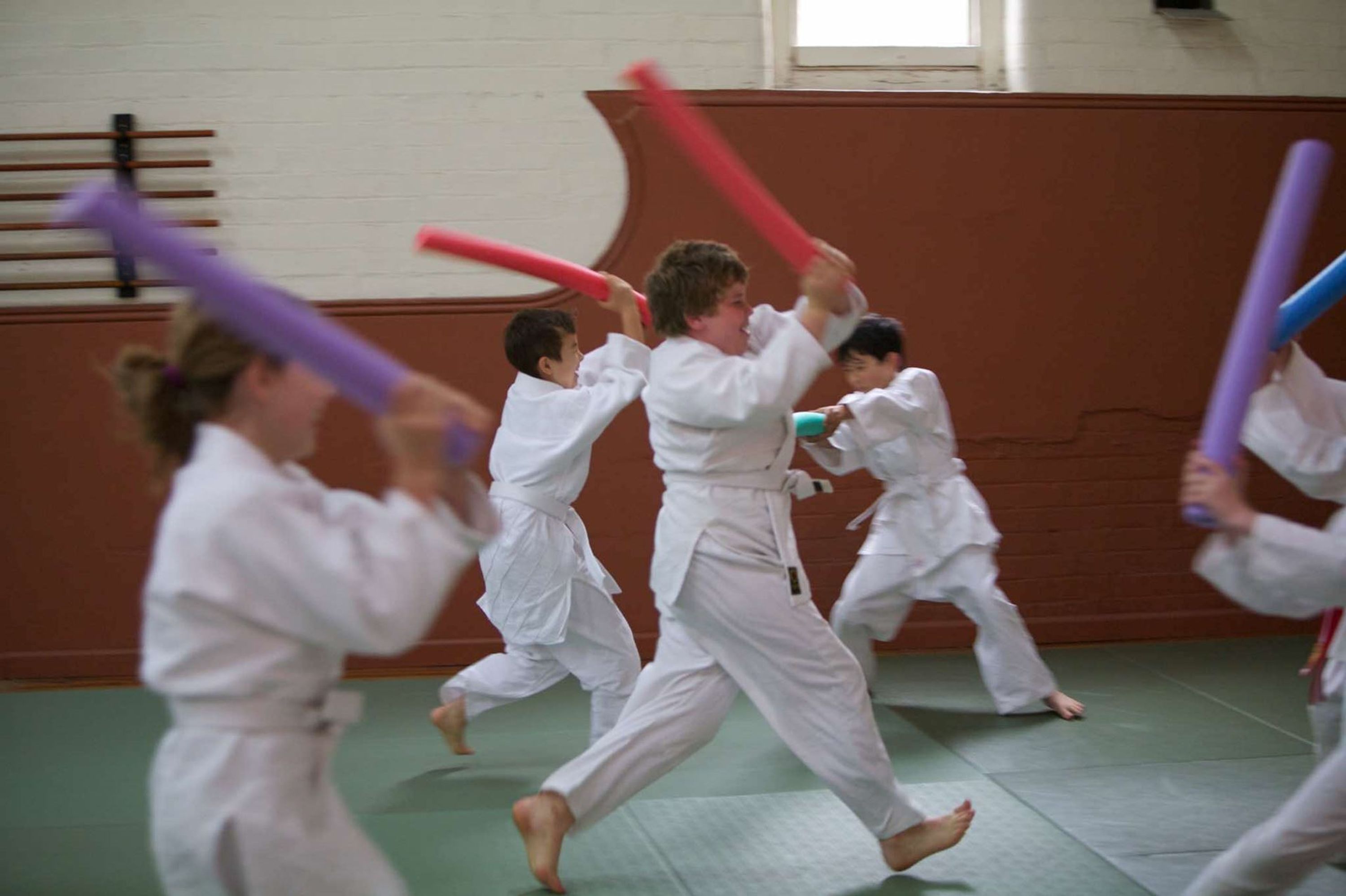 Hervey Bay Aikido Aiki Kai Aust.