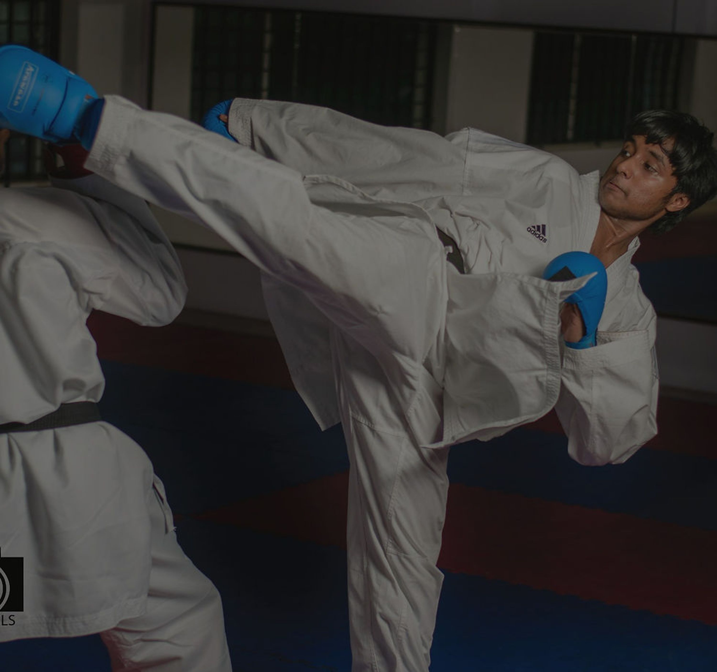 Bushido Karate Academy