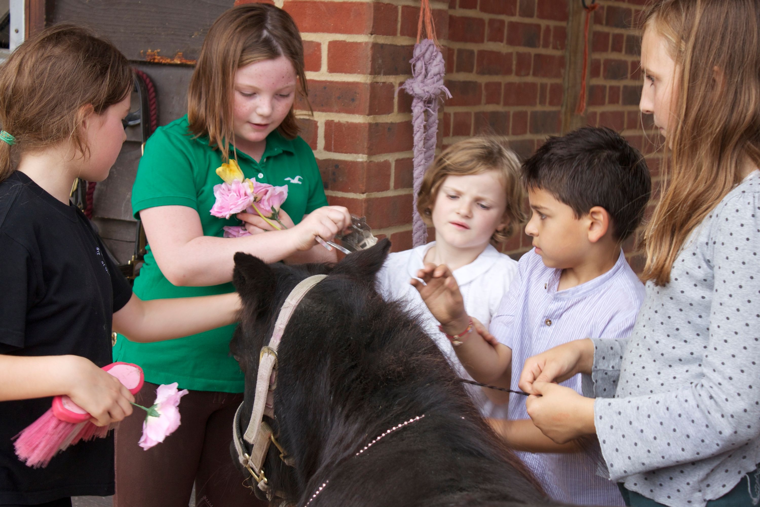 Children's Riding Holiday