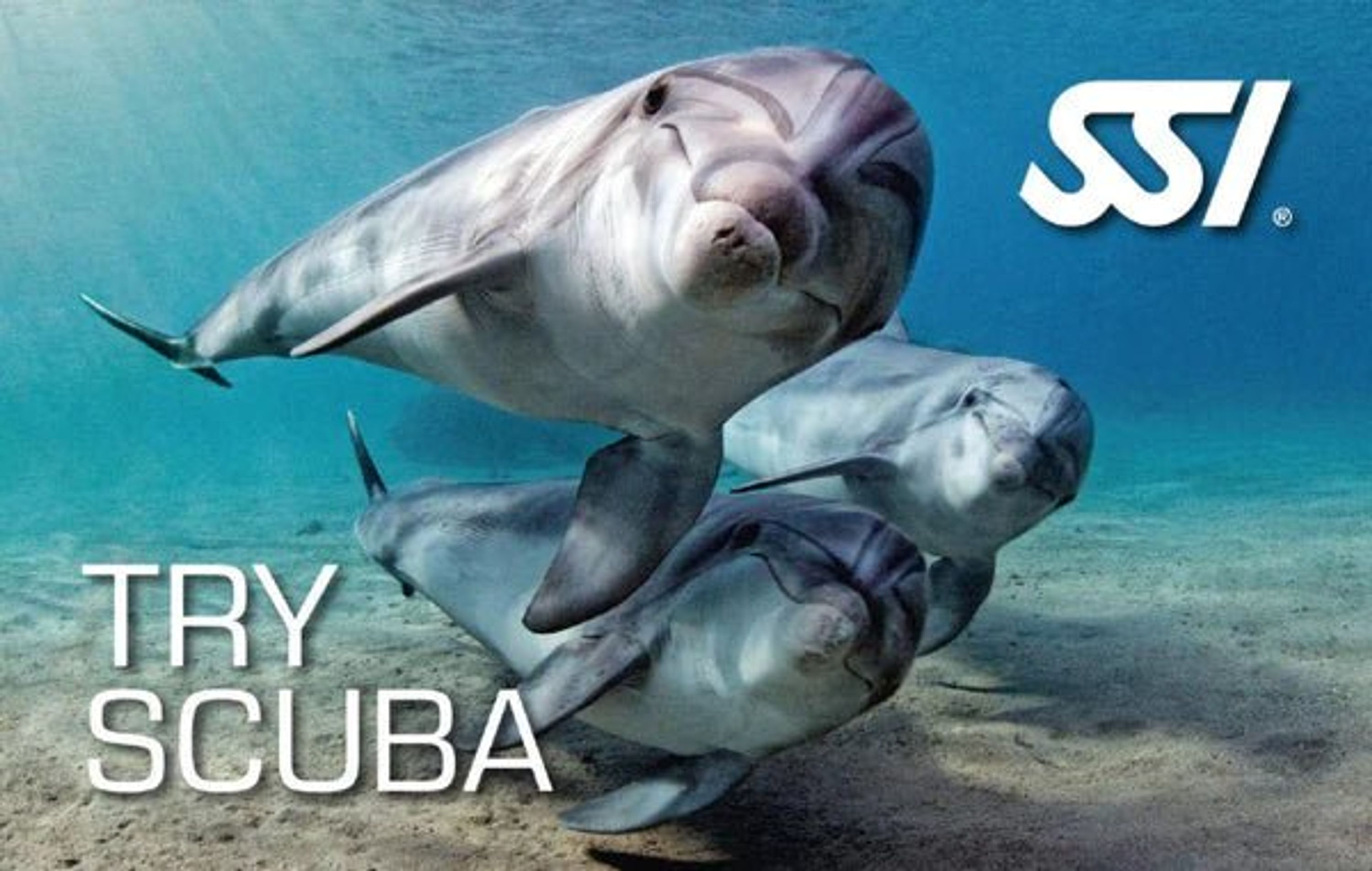 SSI Diver Stress and Rescue Course