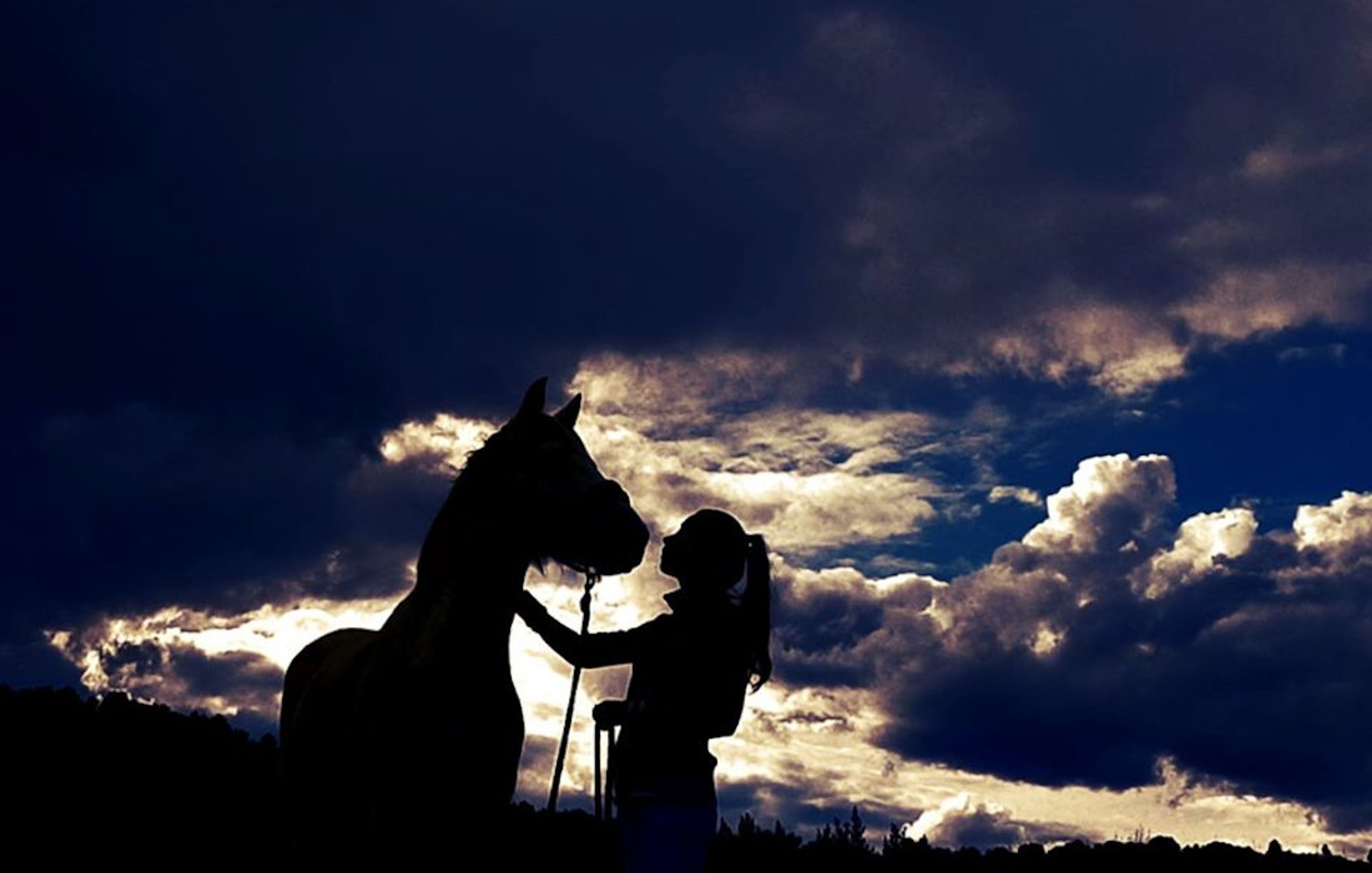 Claire Saint-Yves : Mental-Equi-Coaching