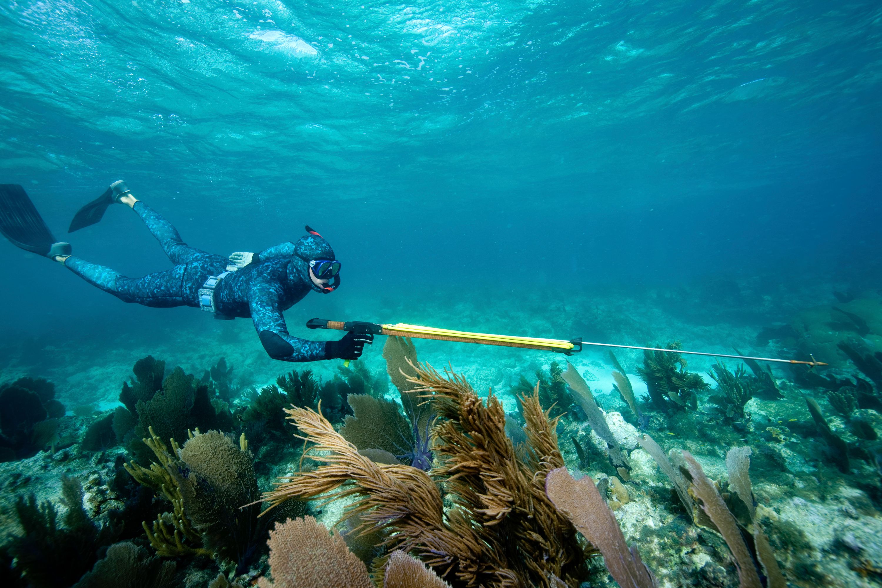 Spearfishing banner