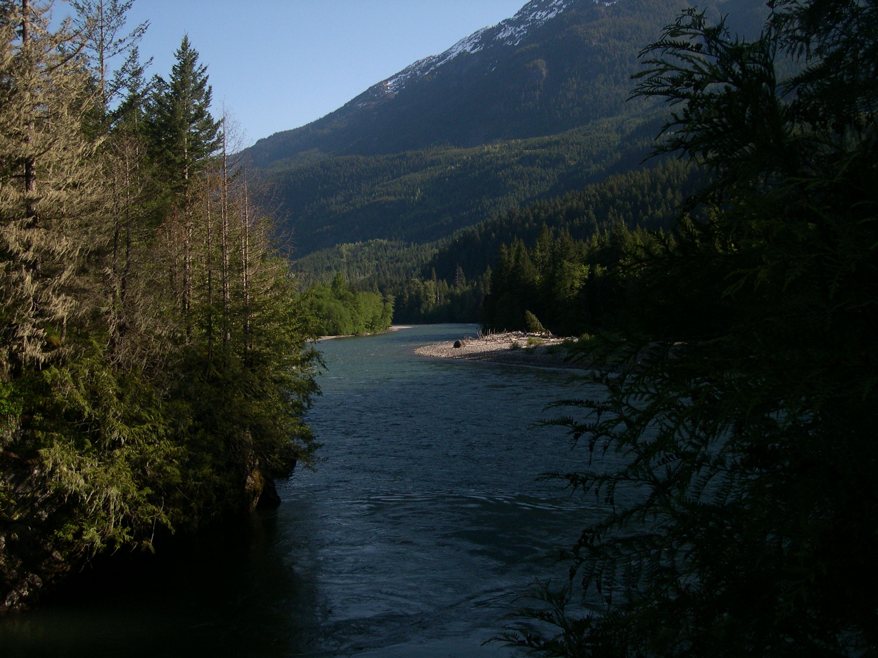 Art of Angling Guides
