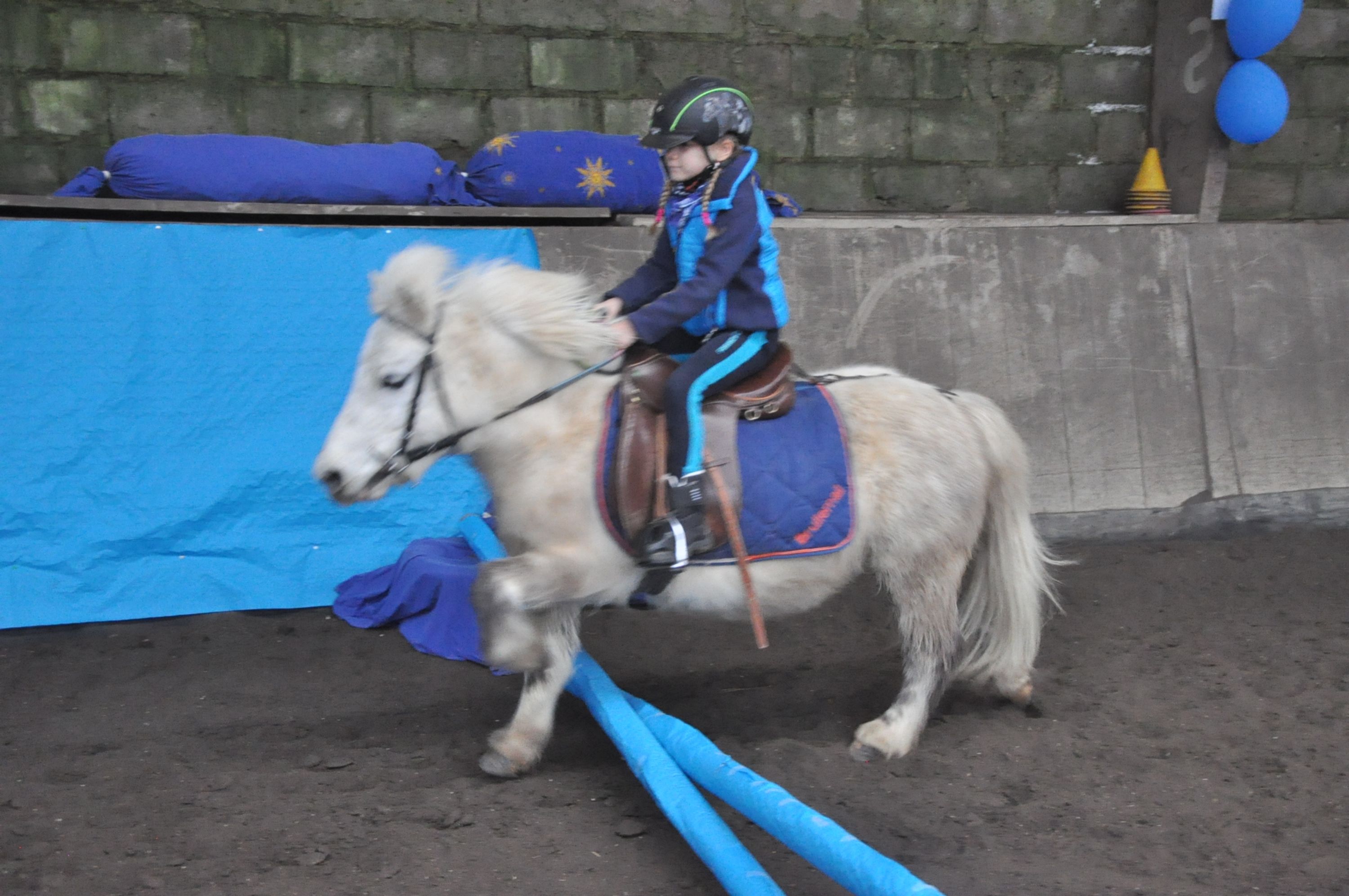 Equestrian Center Cheval Bleu