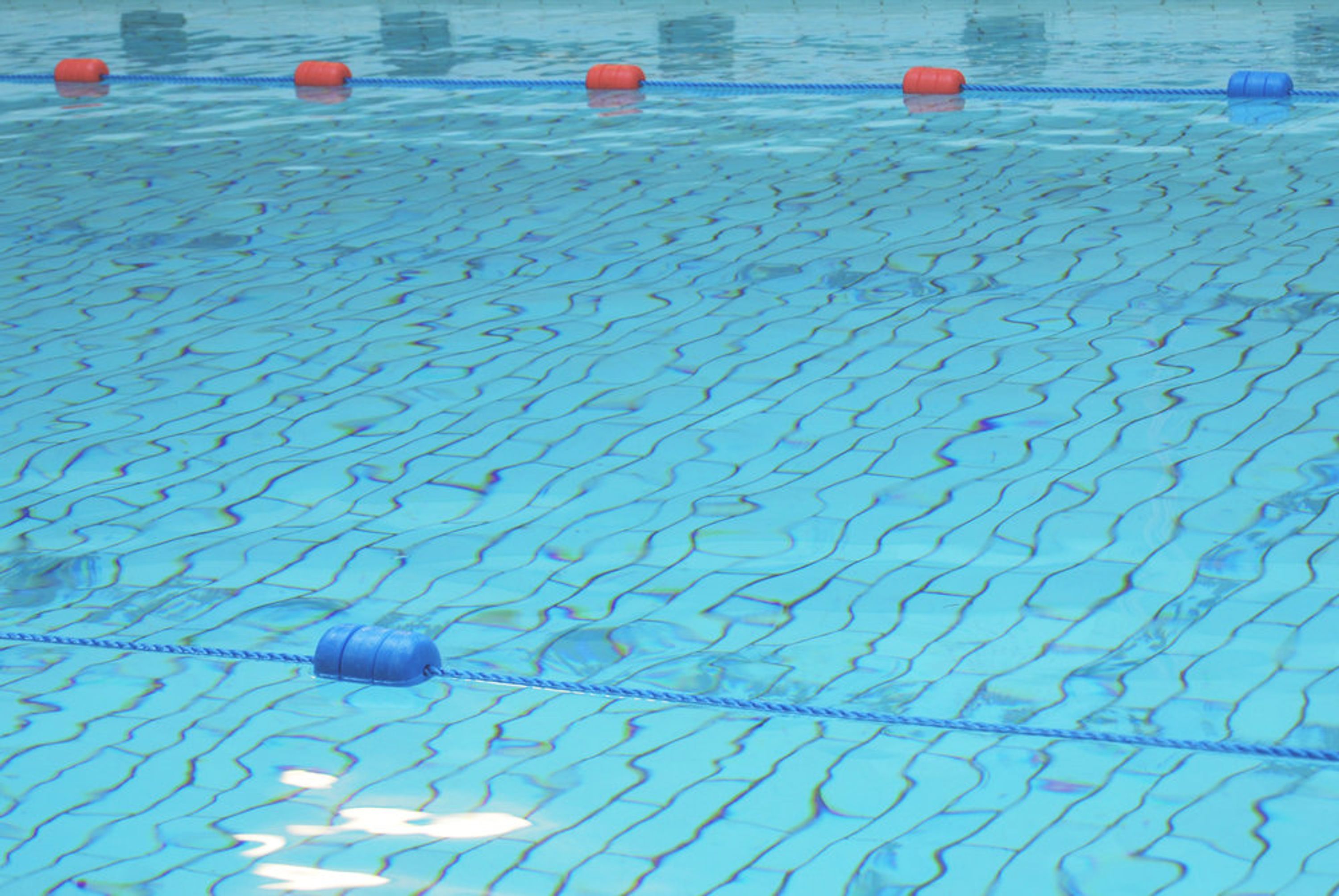 SAS Swimming
