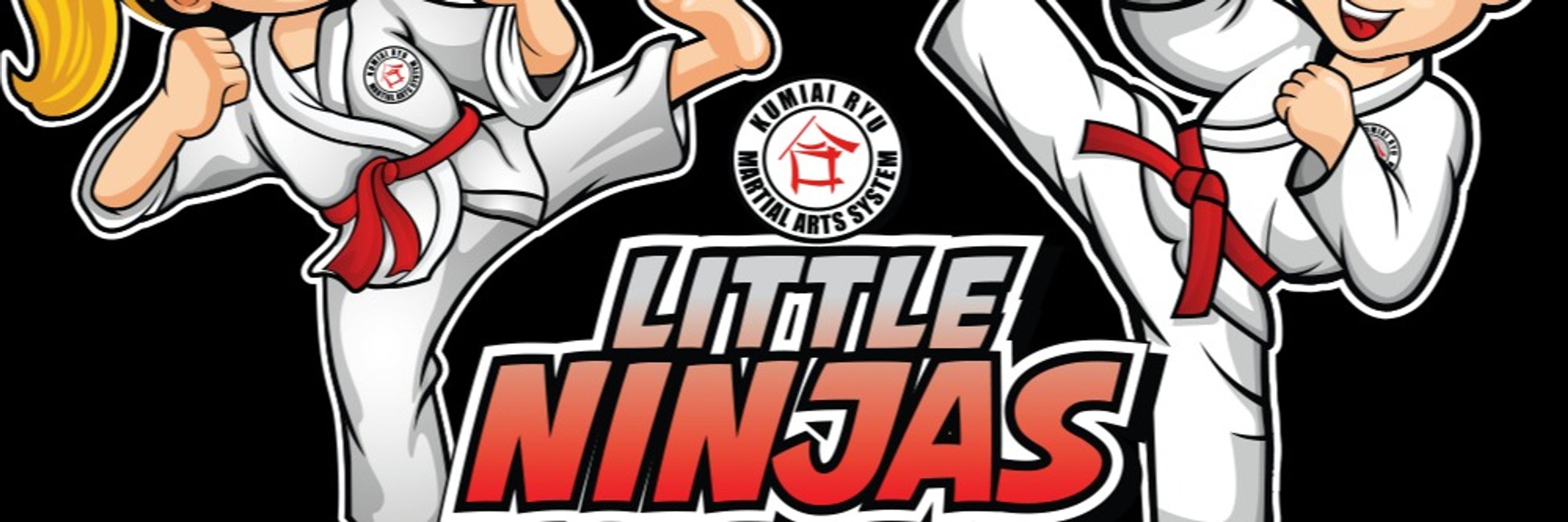 Kumiai-Ryu Martial Arts System - Shellharbour City