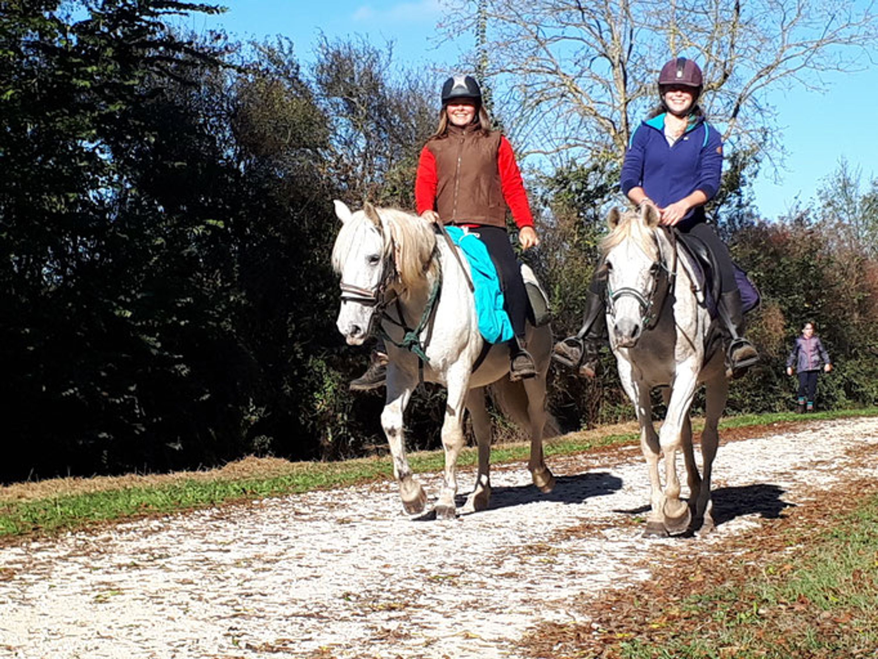 Recreation Horse De Chauray