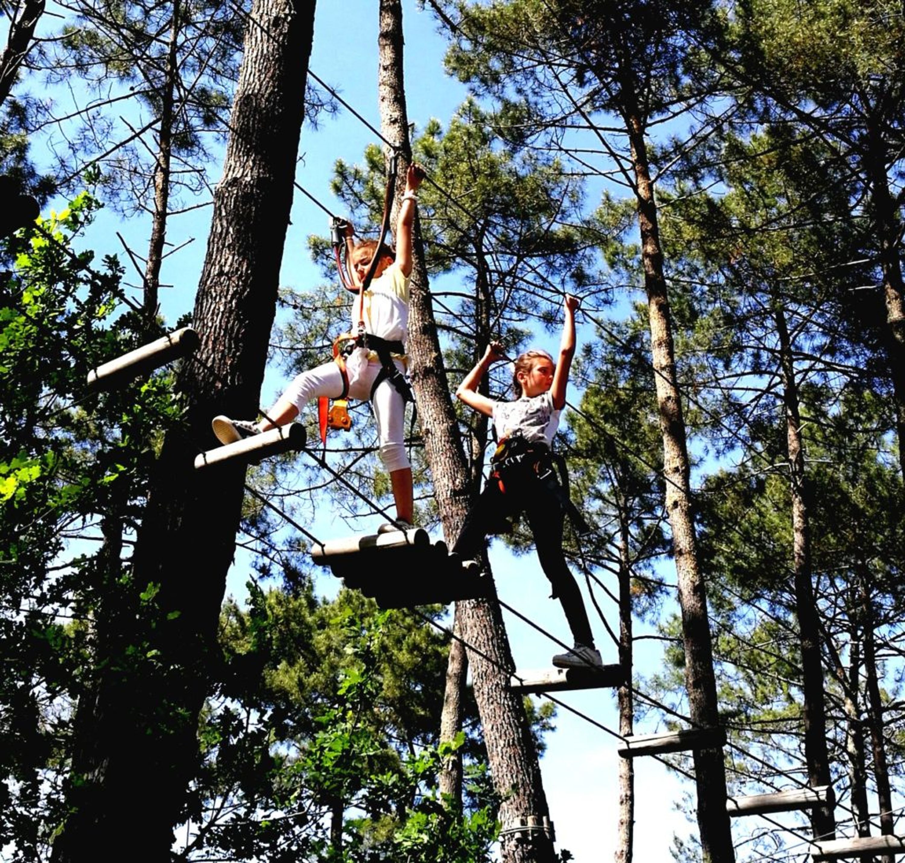 Bias Aventure, Acrobranche, saut à l'élastique "Quick flight"