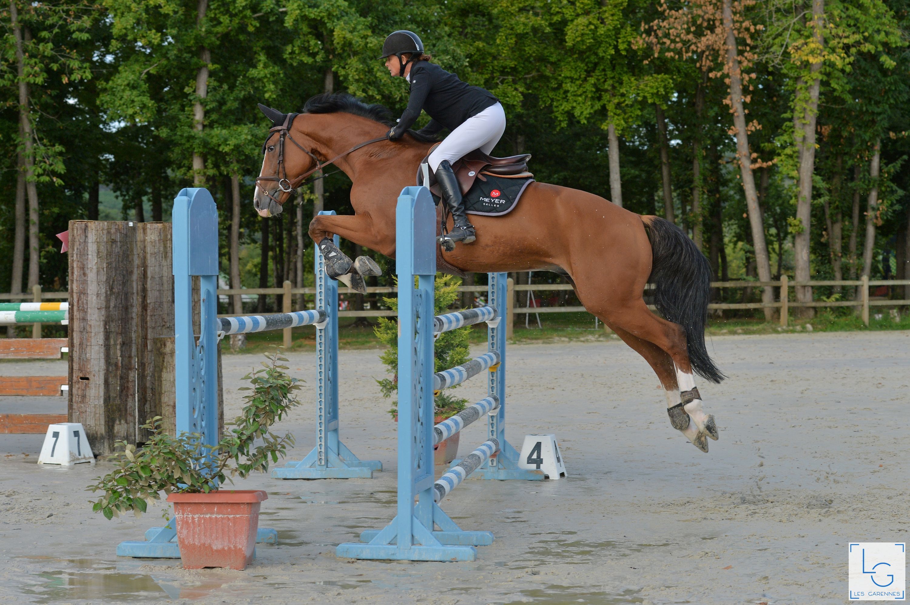 Equestrian Center L'escapade Ecurie Charlotte Rostin