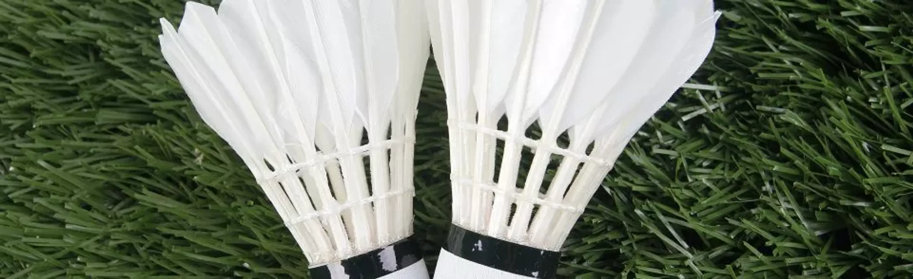 Cobra Badminton Racing