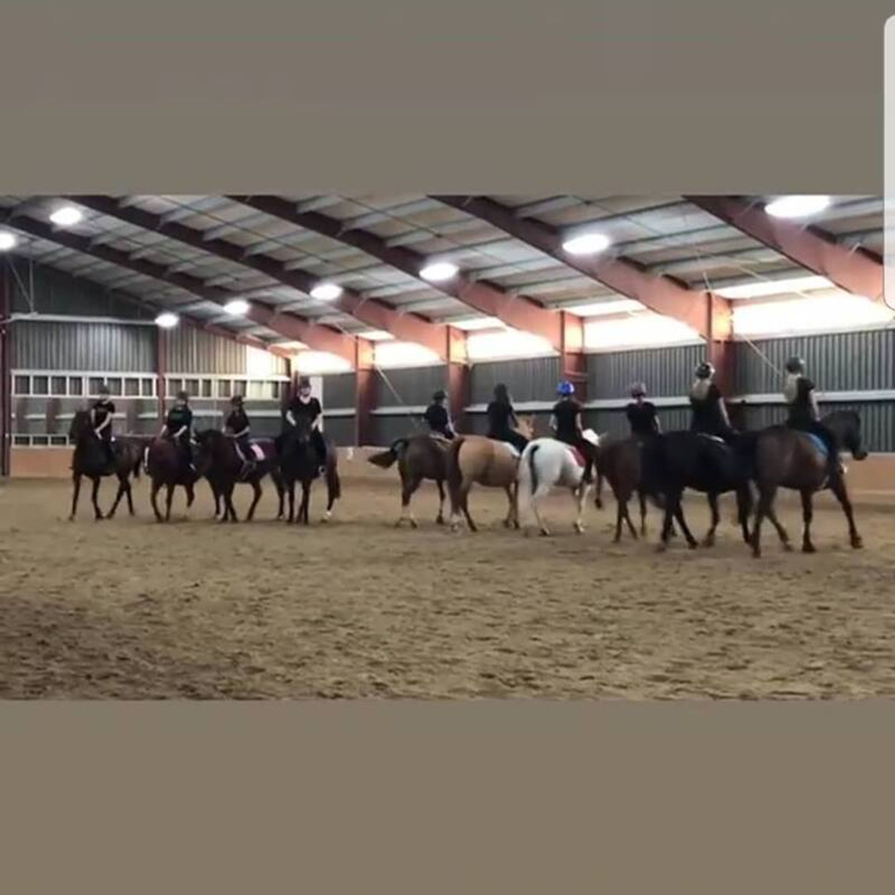 Summer Horse Riding Day Camp