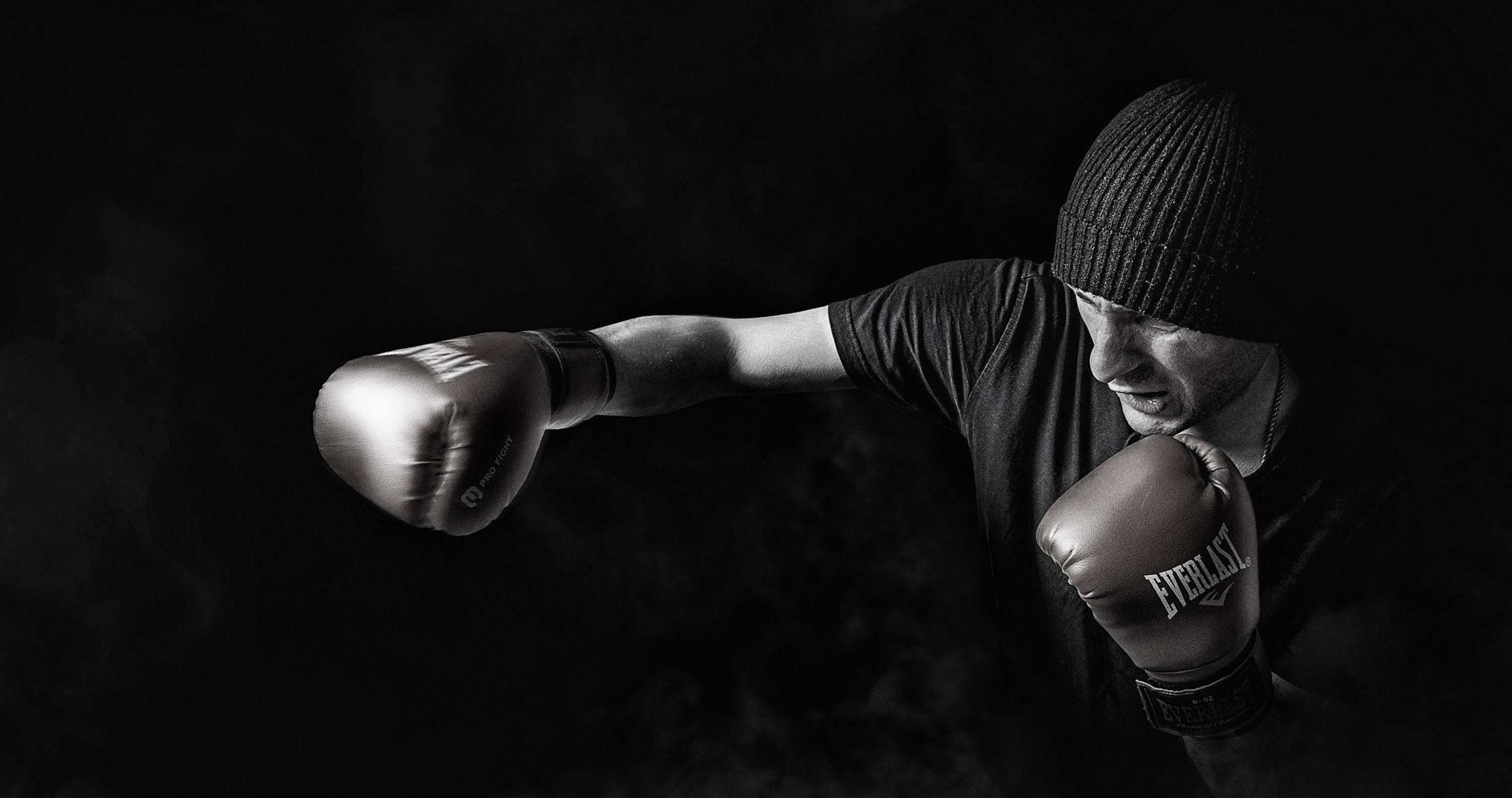 School Jeet Kune Do Concept