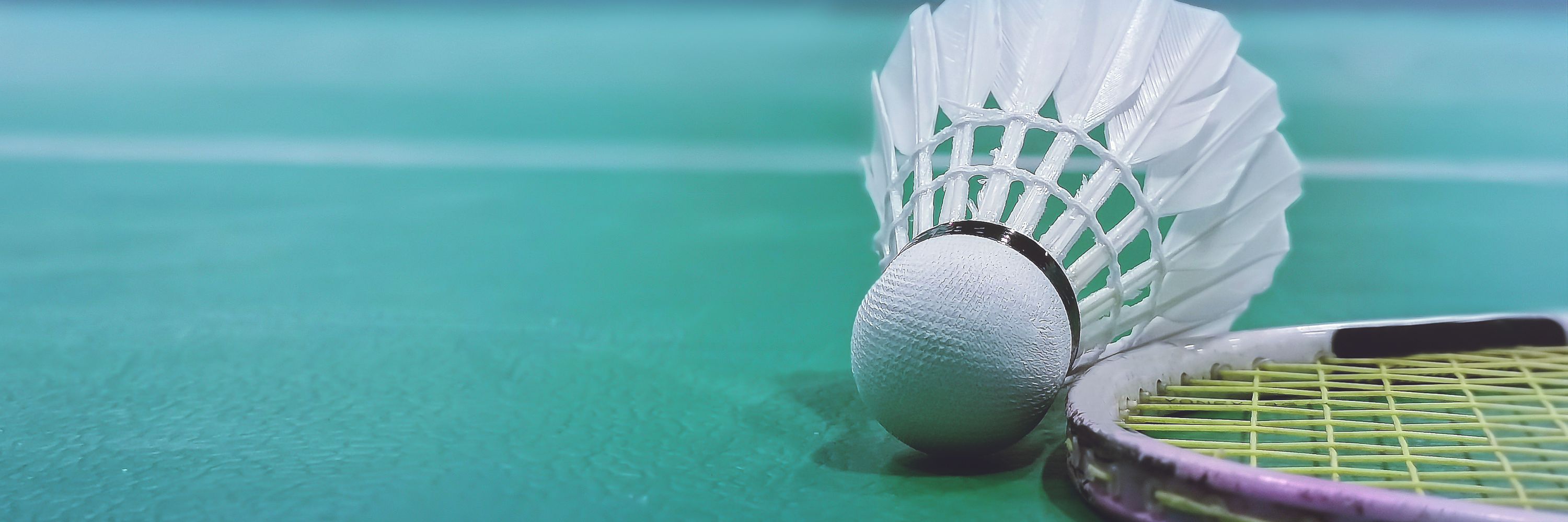 NT Badminton Association