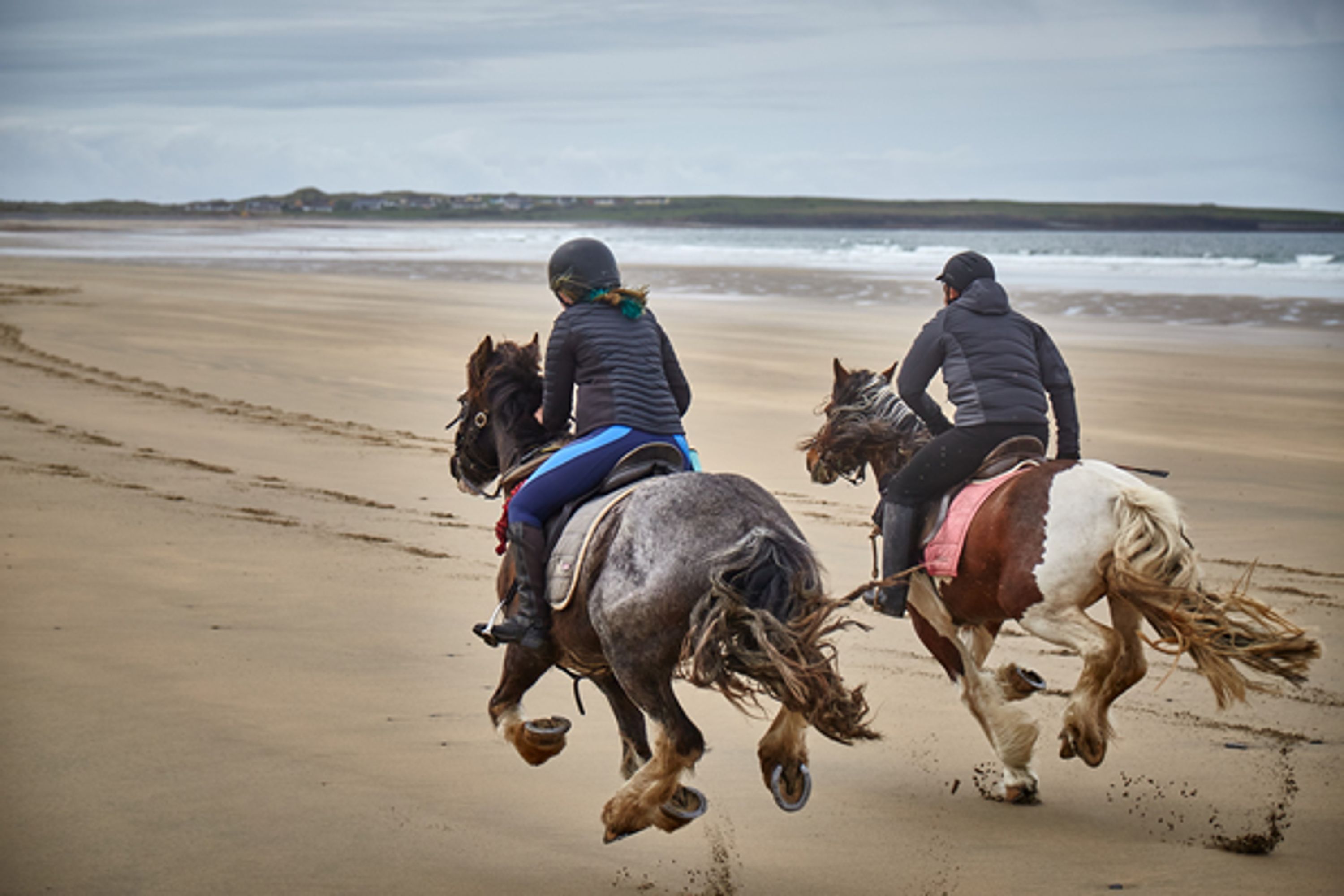 Island View Riding Stables