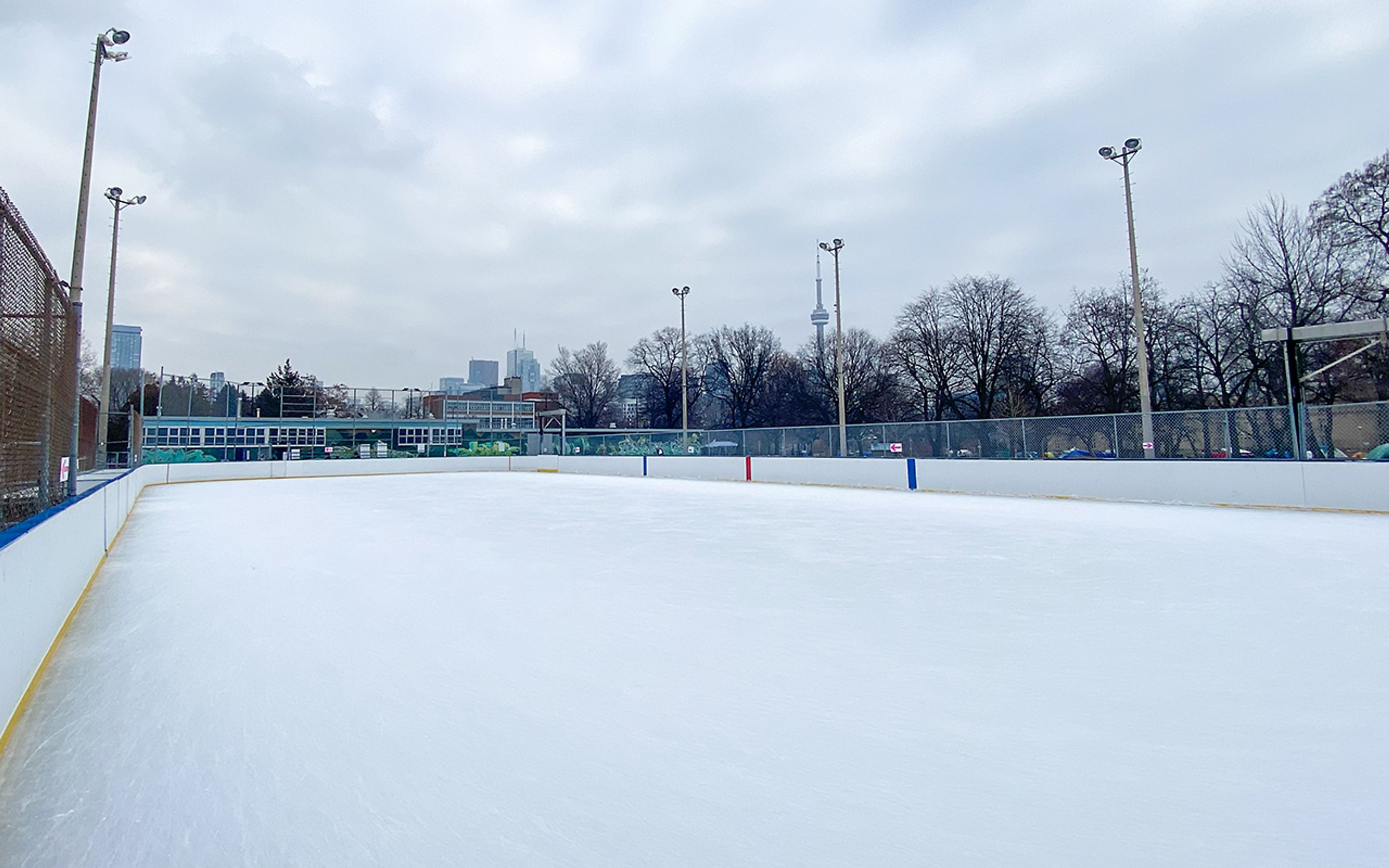Harry Gairey Rink