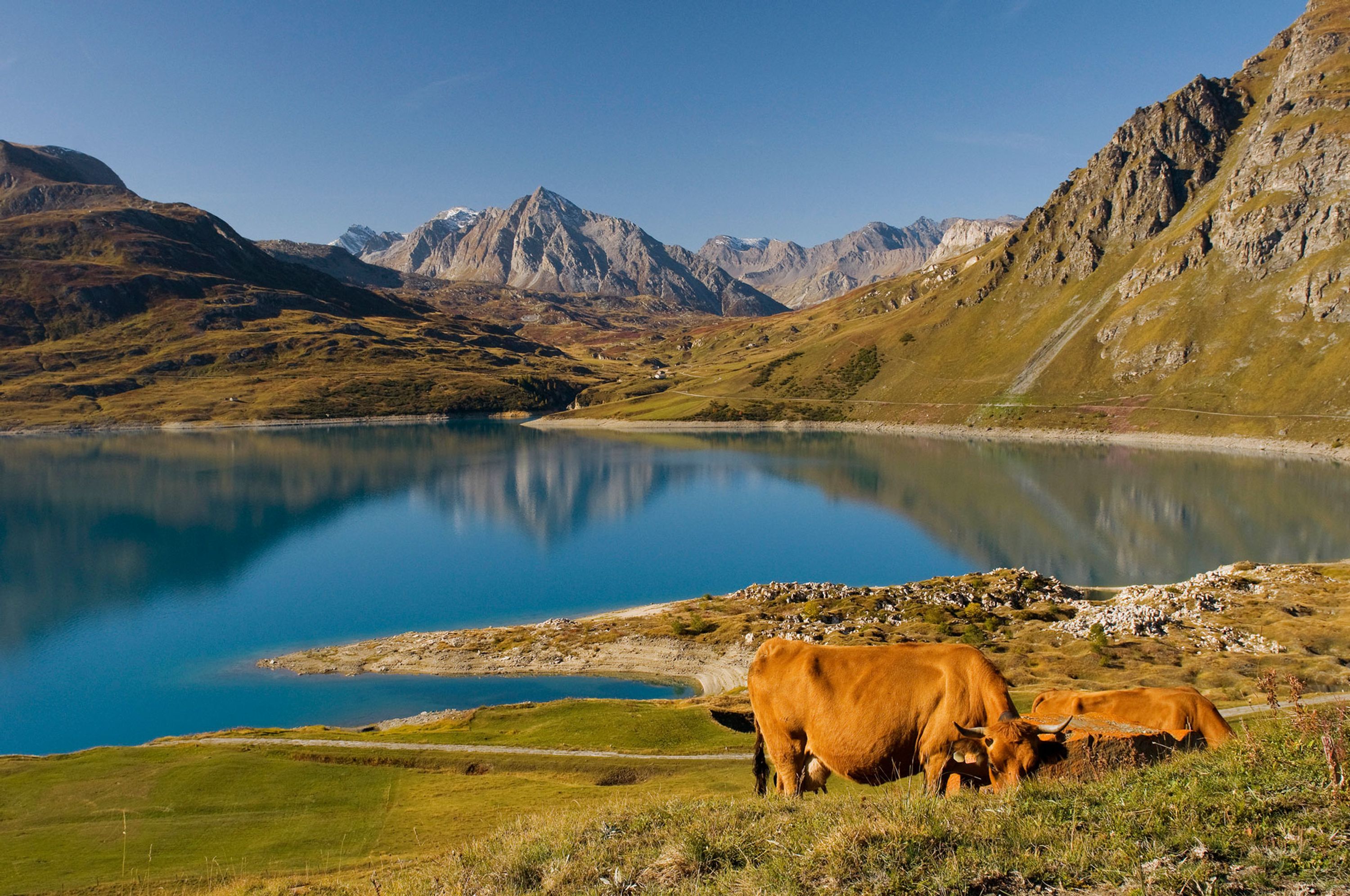 Fédération de Savoie pour la Pêche et la Protection du Milieu Aquatique