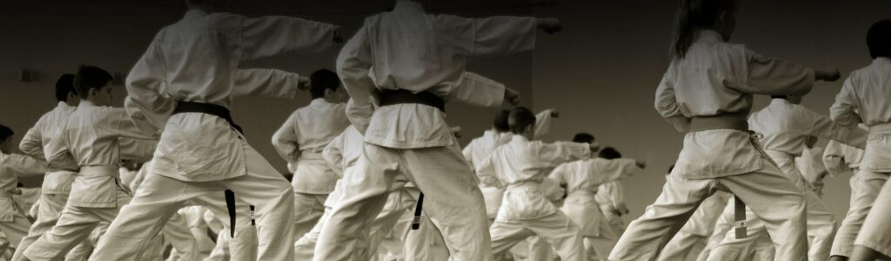 VIC – Region 8 Kumite Tournament