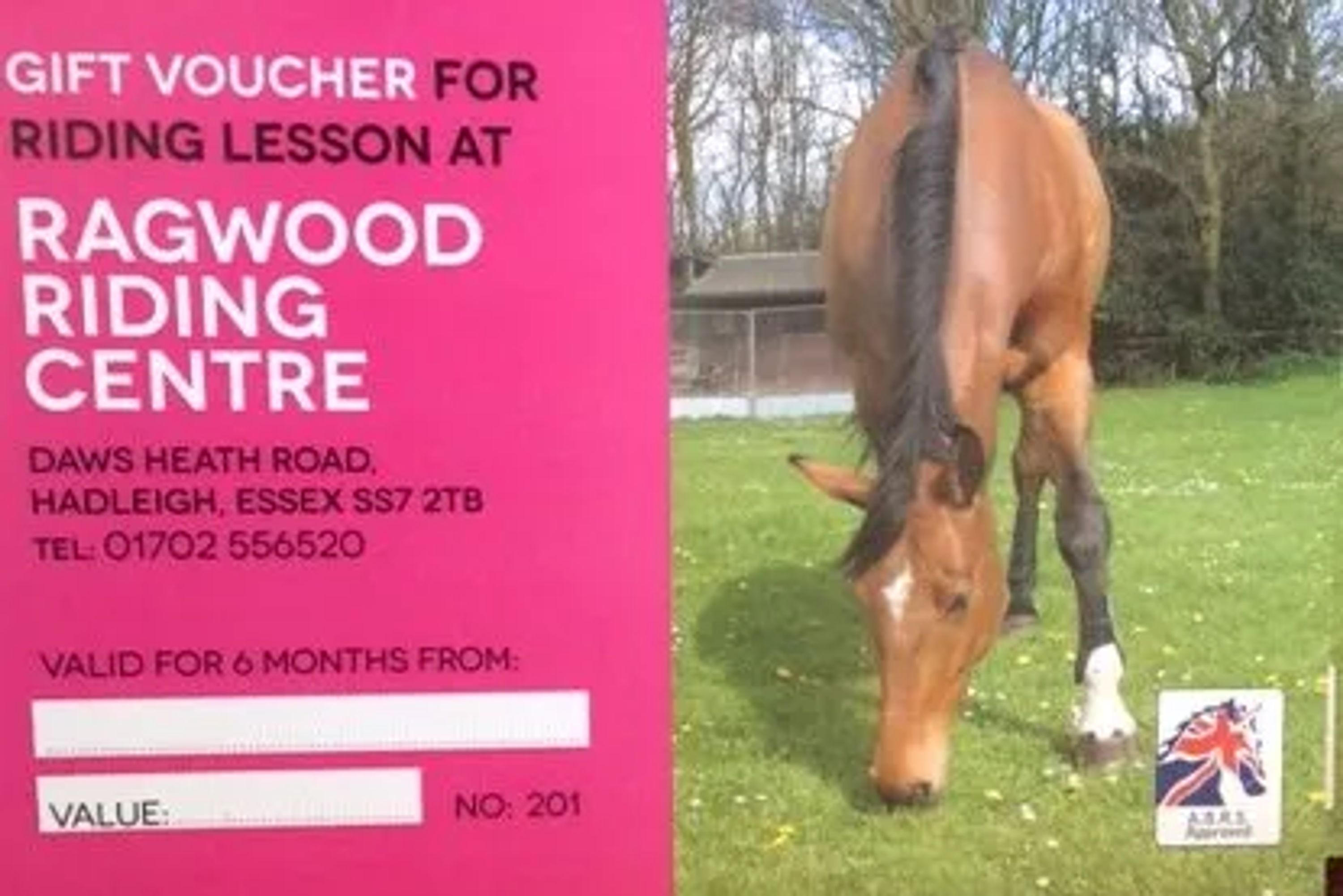 Horse riding in Benfleet