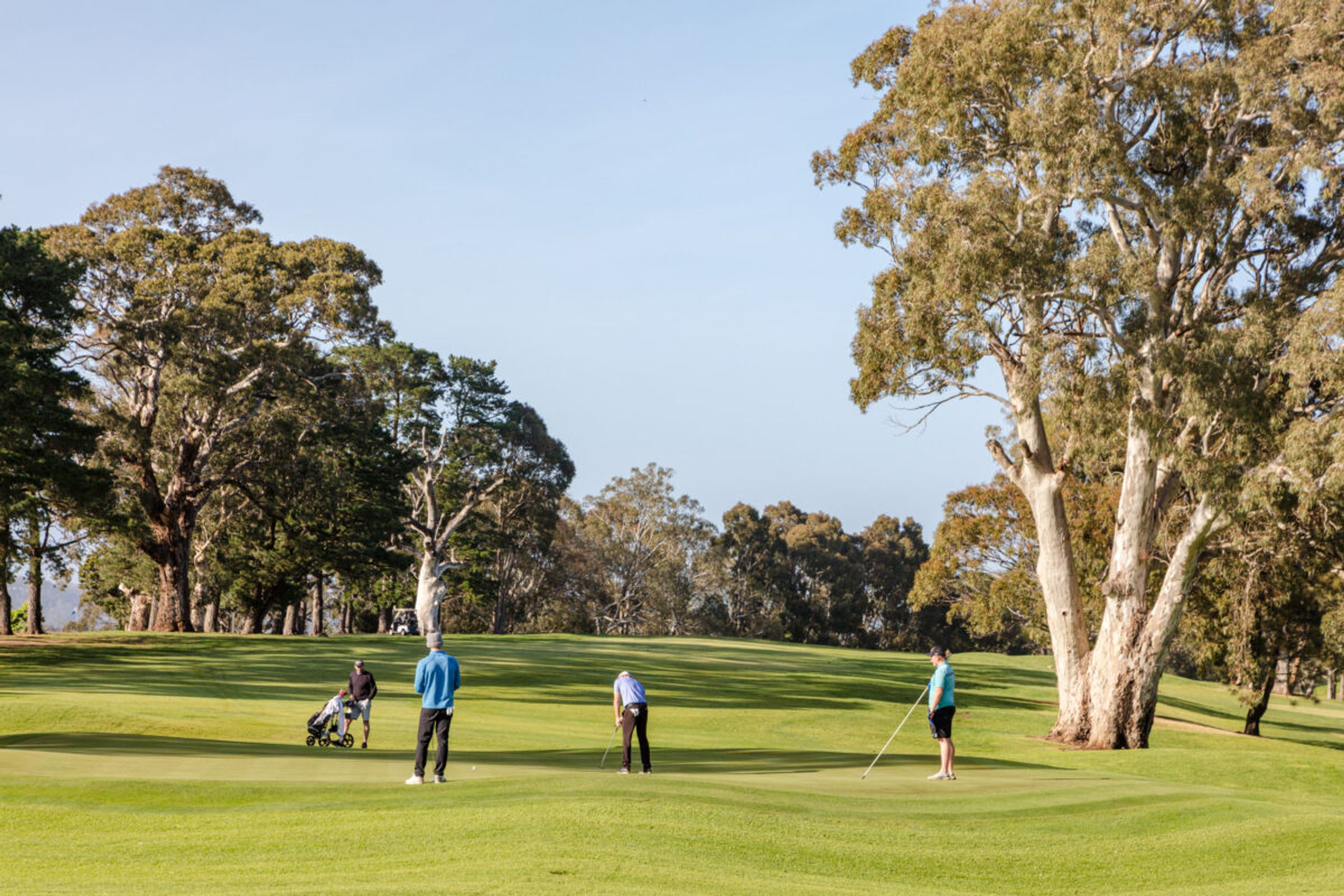 Corporate Golf