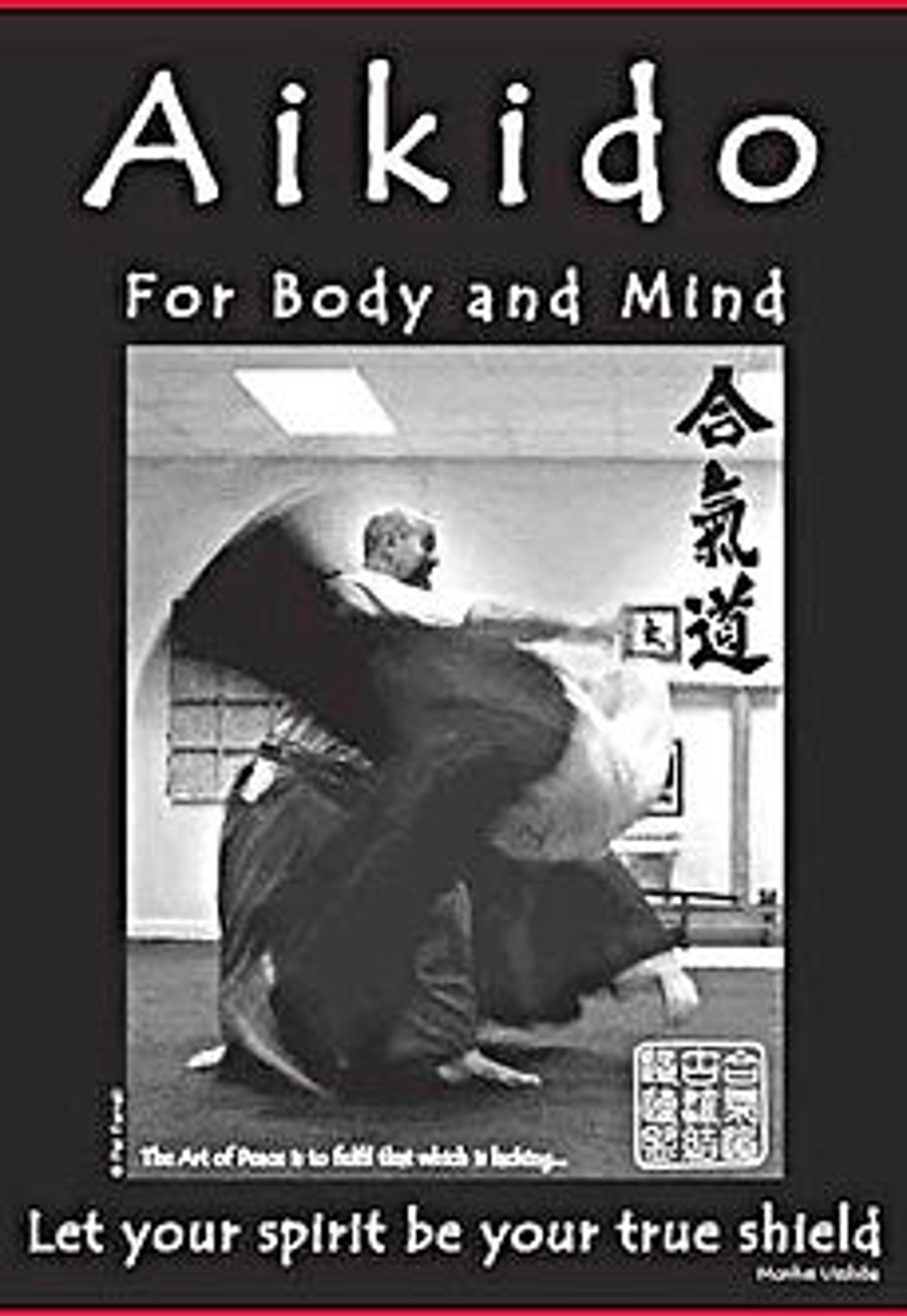 lincoln tai chi