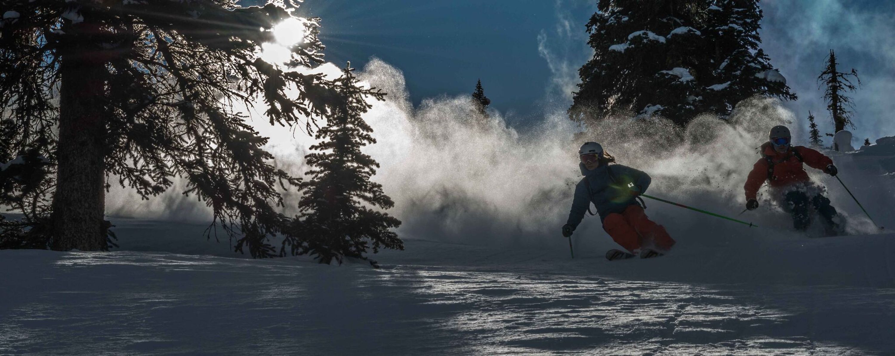 Adrenalin Descents Backcountry Ski Guides
