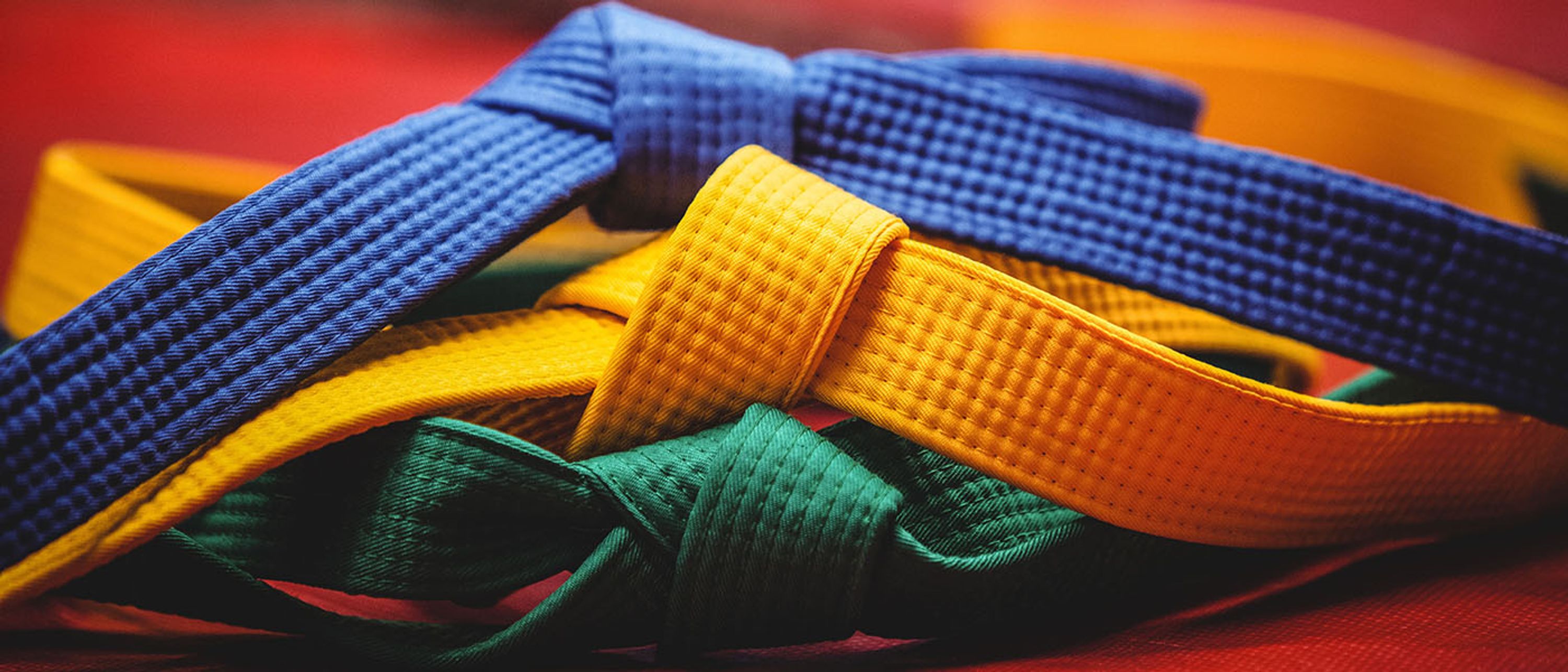 Dojo Emile Moiroud