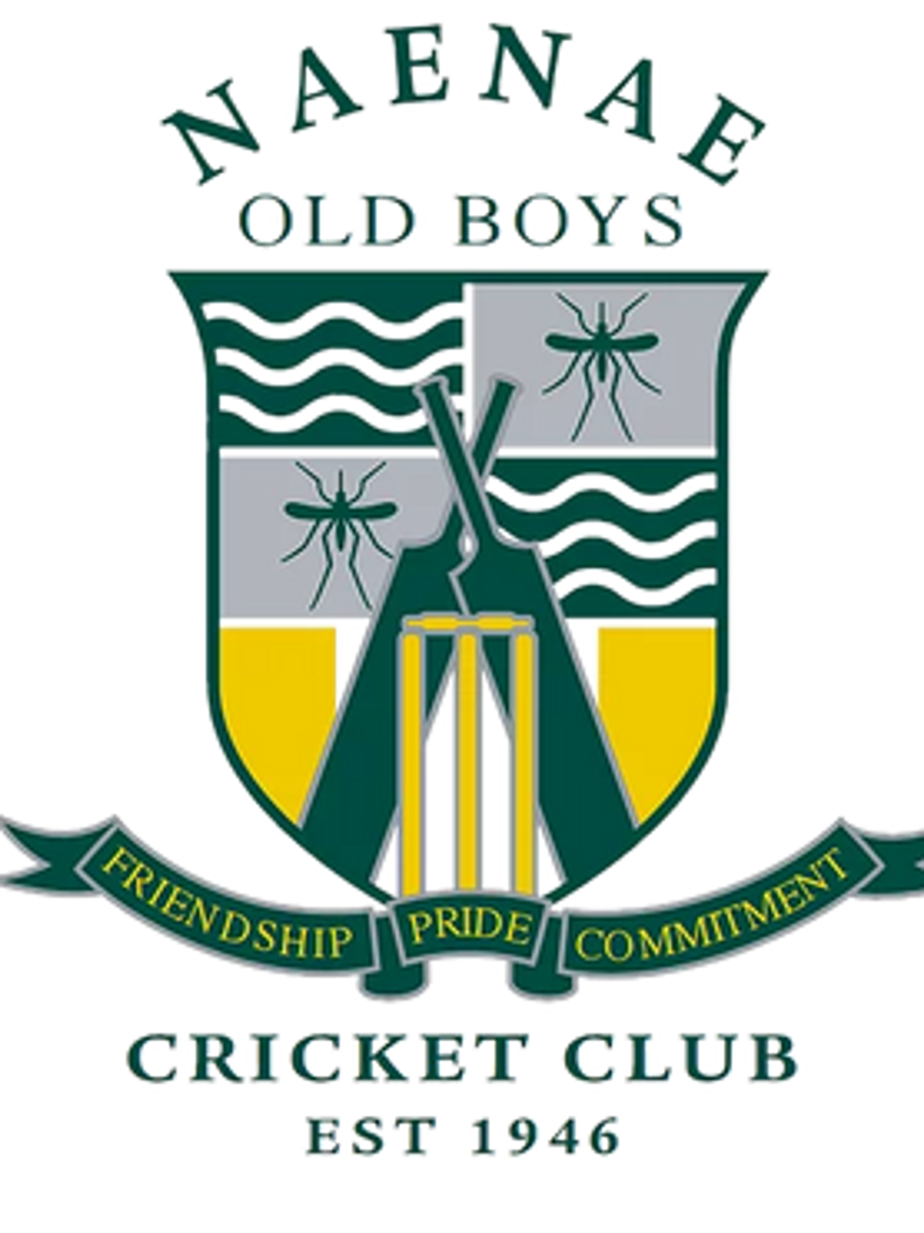 Naenae Cricket Club