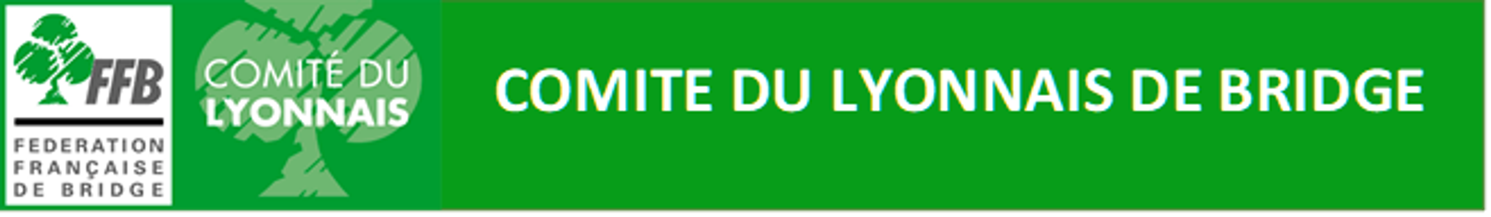 Silk Bridge Club de Lyon