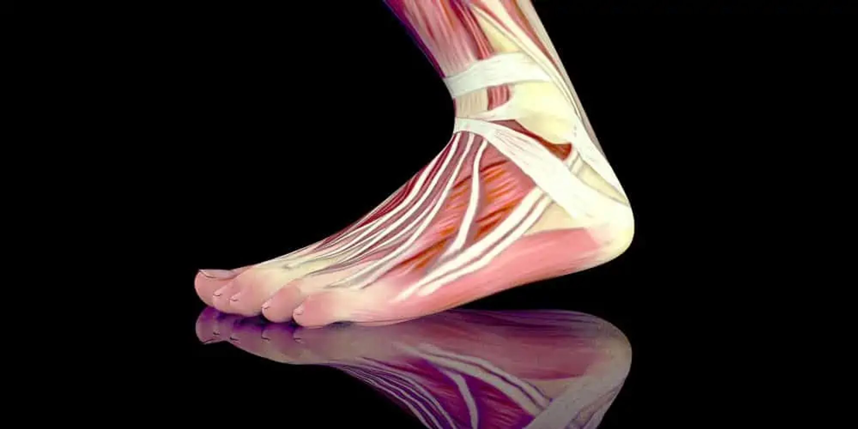 Core Physiotherapy & Pilates Studio