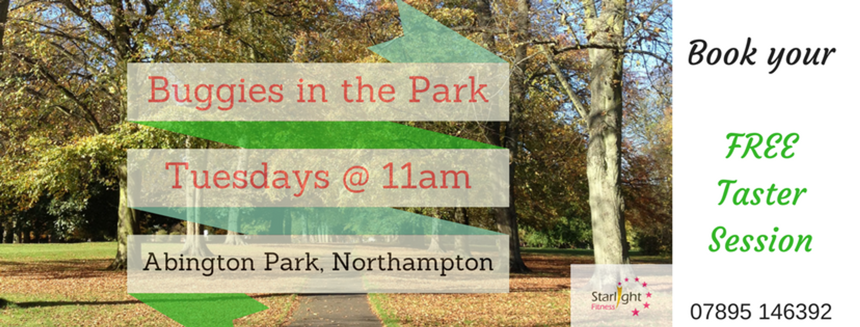 Buggies in the Park