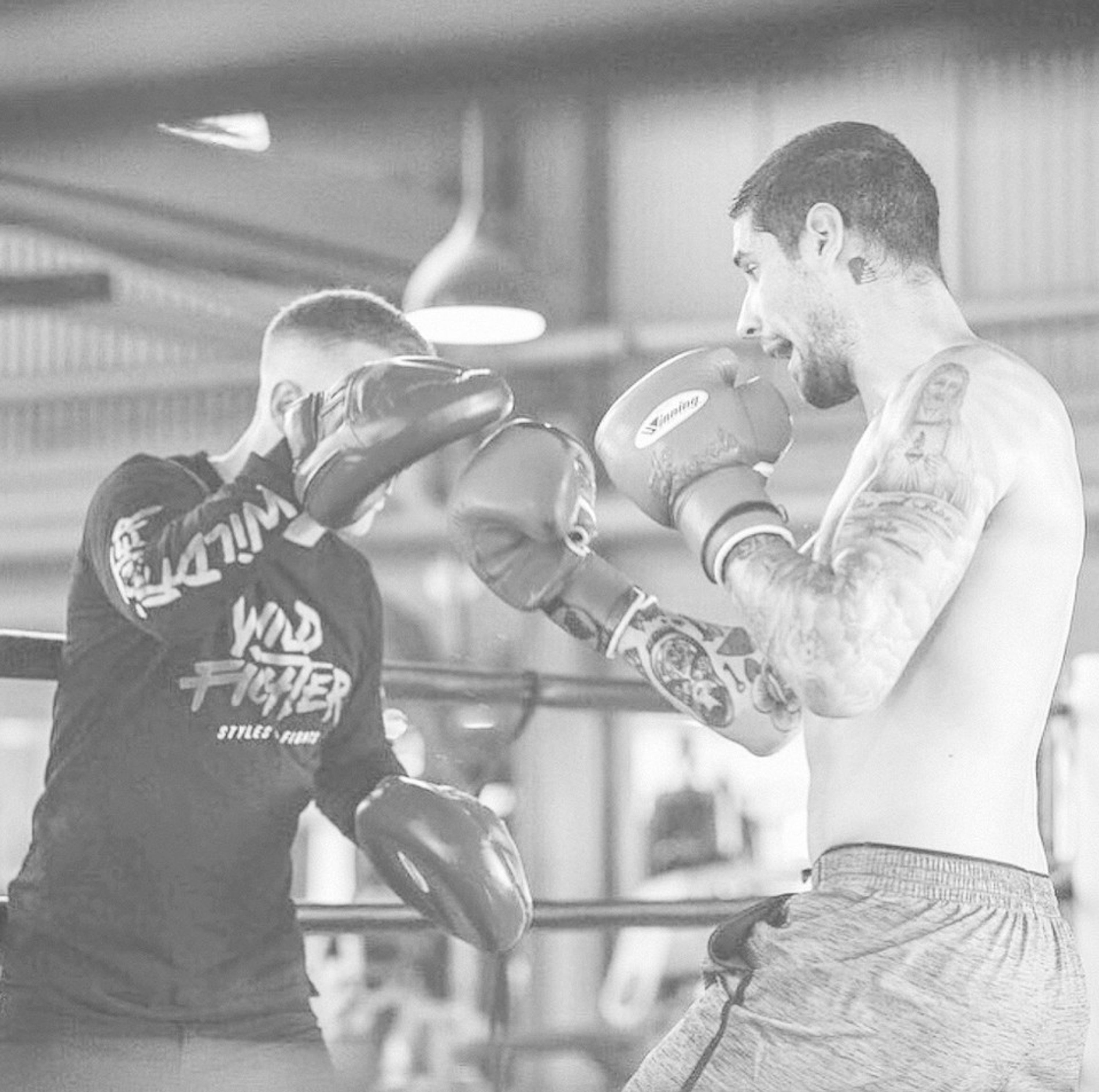 Wildfighter