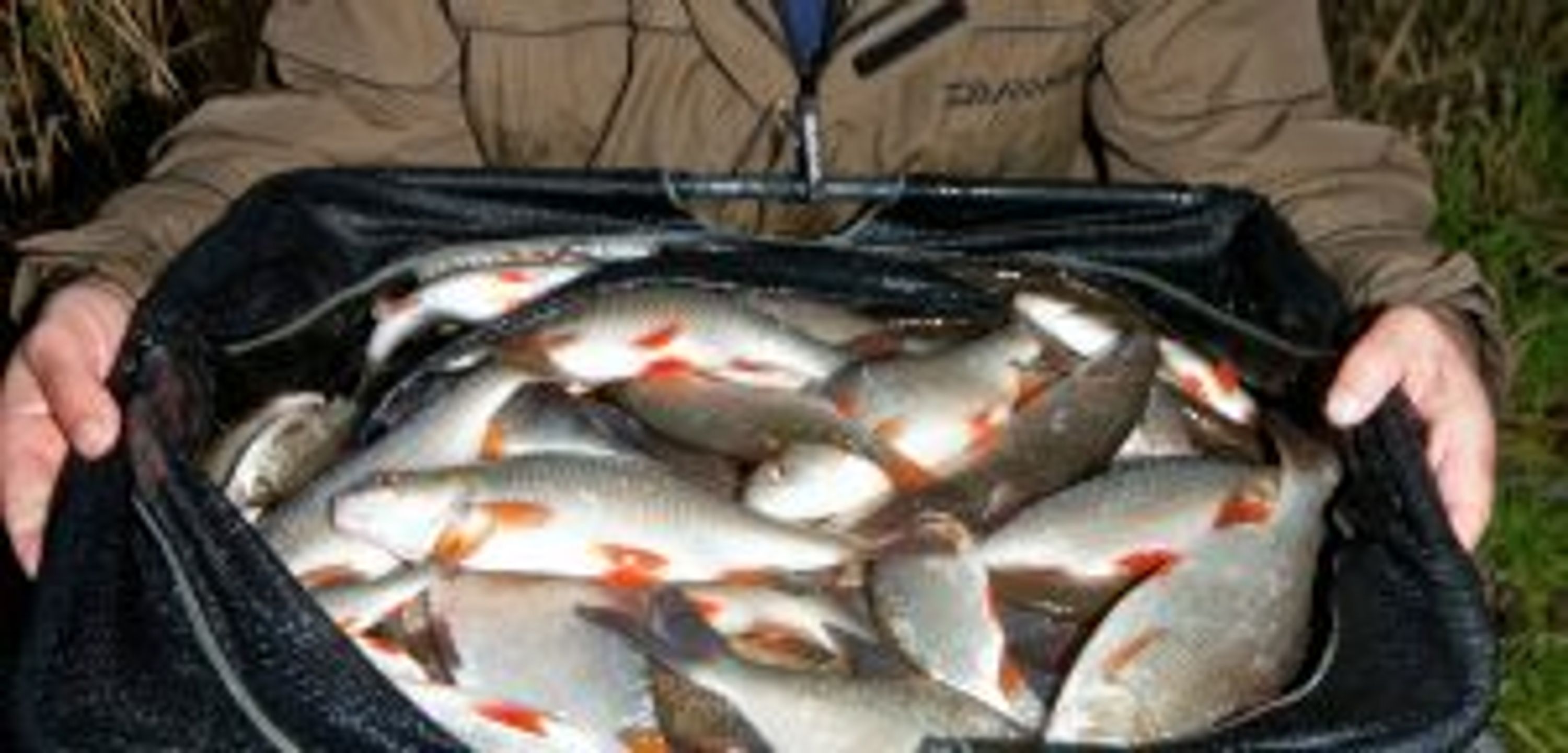 Messingham Sands Fishery