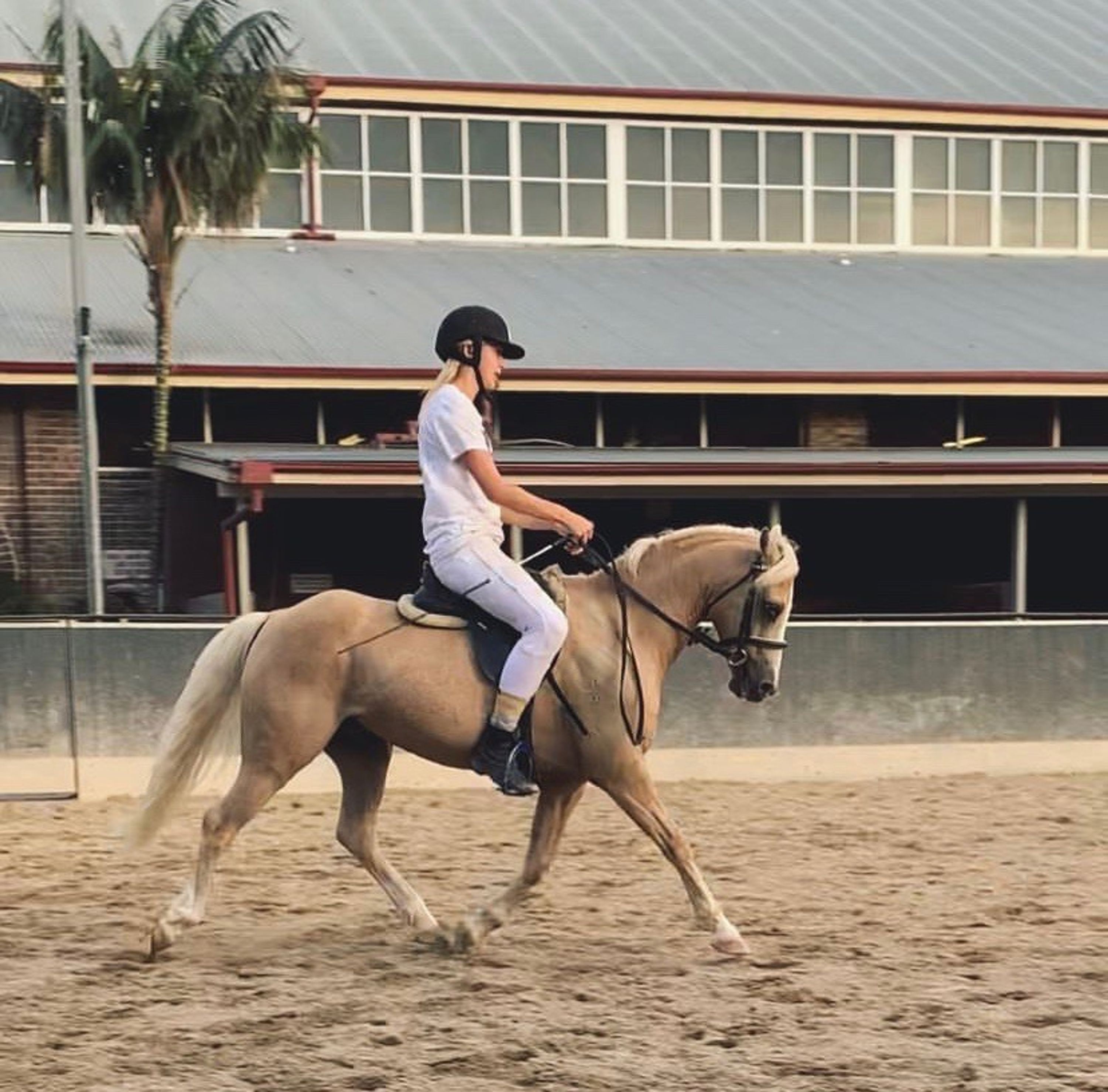 Showgrounds Riding School