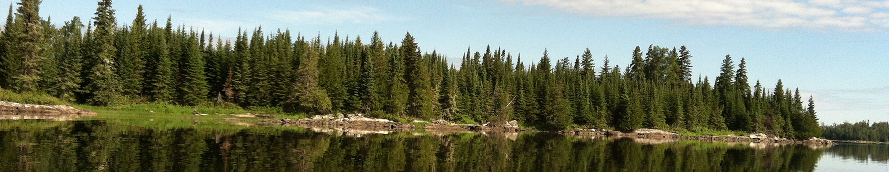 Watson's Kaby Lodge