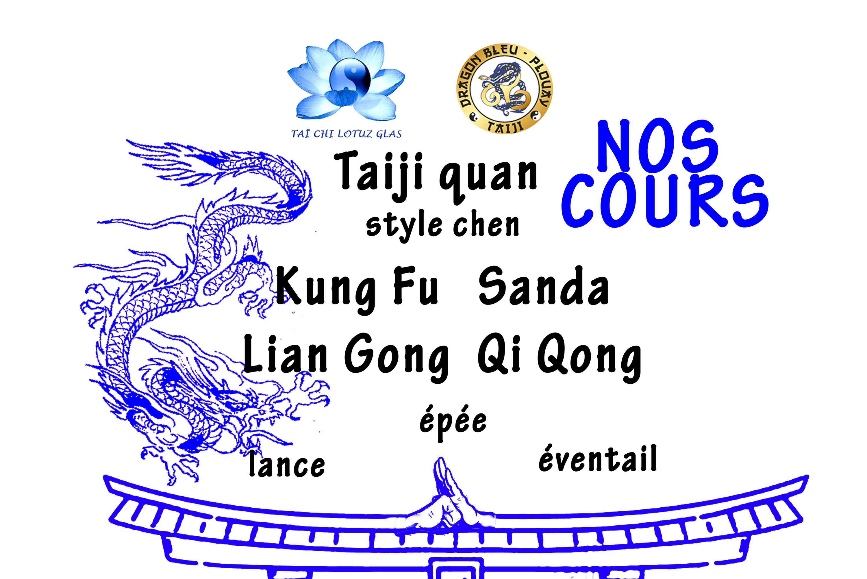 Taiji Dragon Bleu Plouay