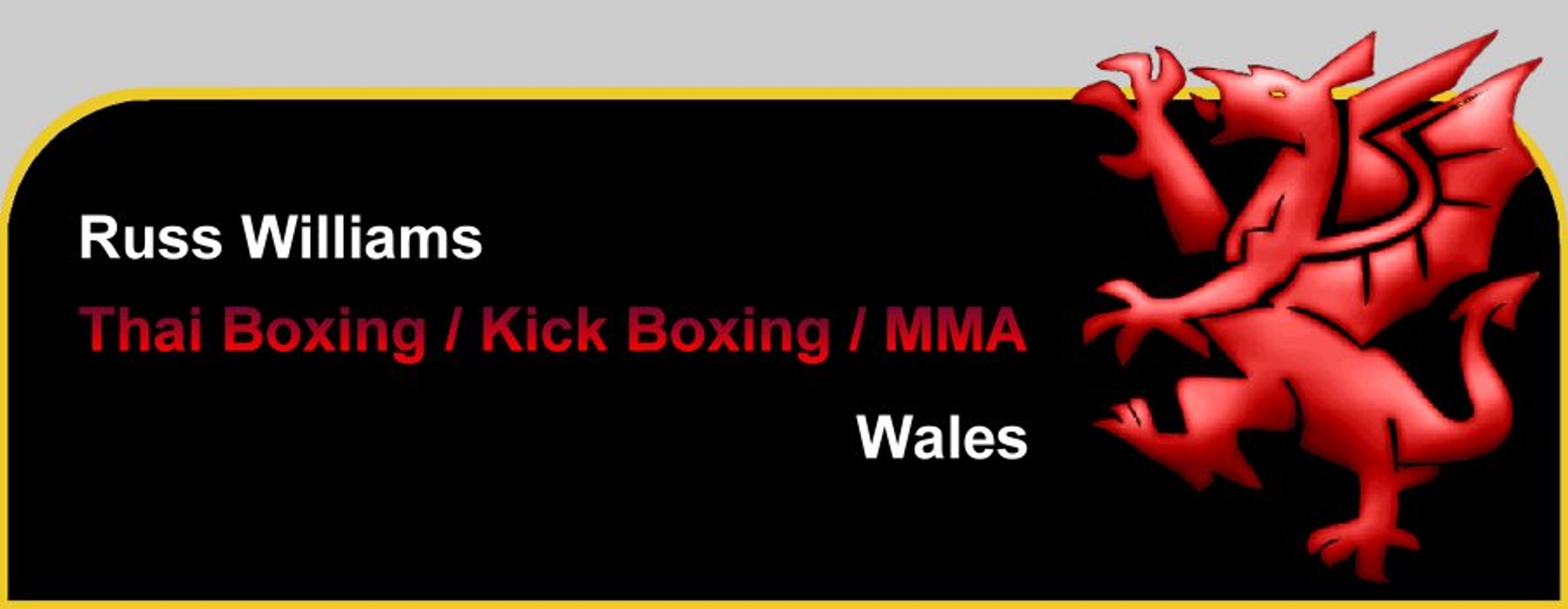 Thai Kickboxing & MMA Classes