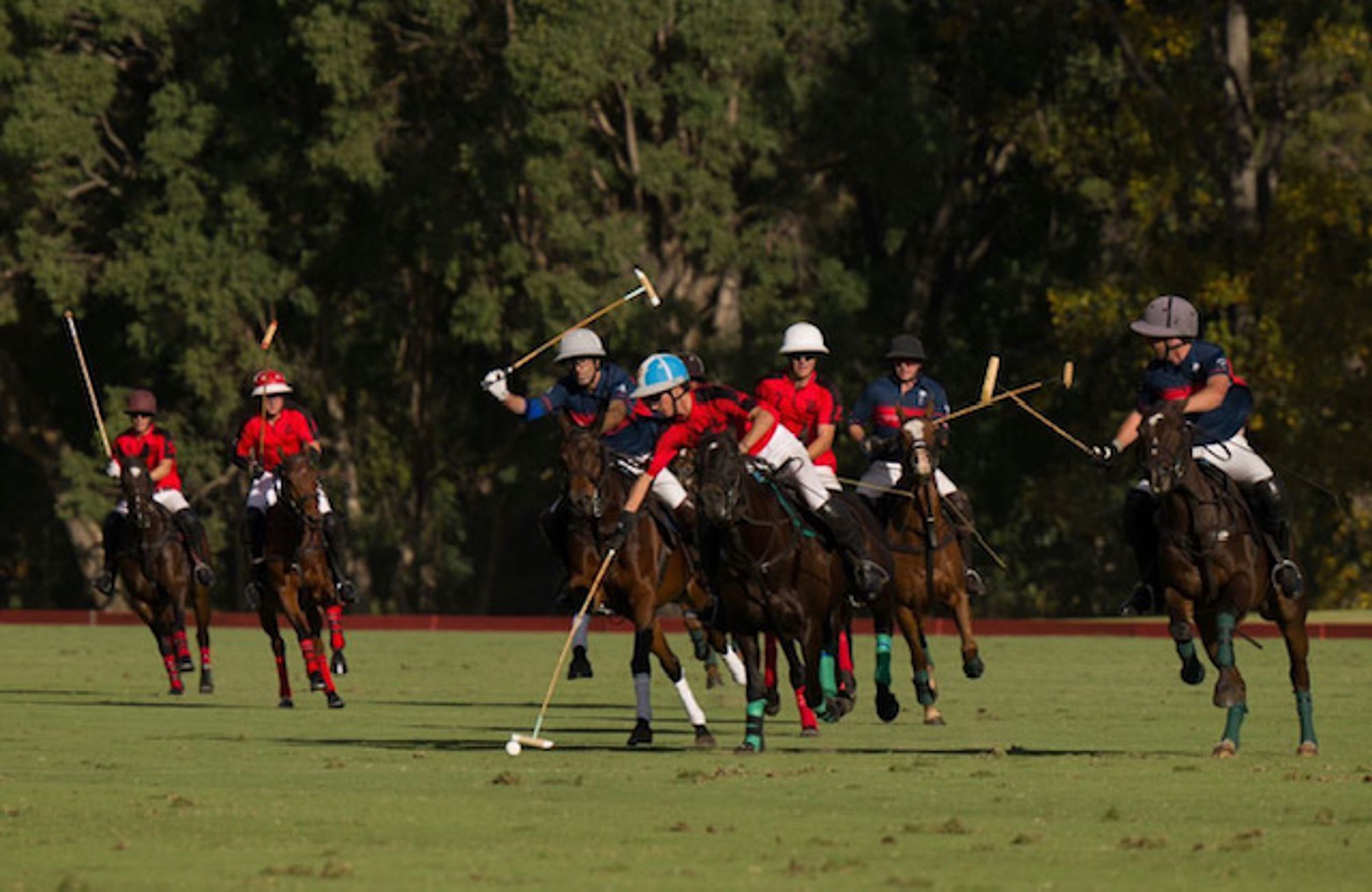 La Dolfina Cup