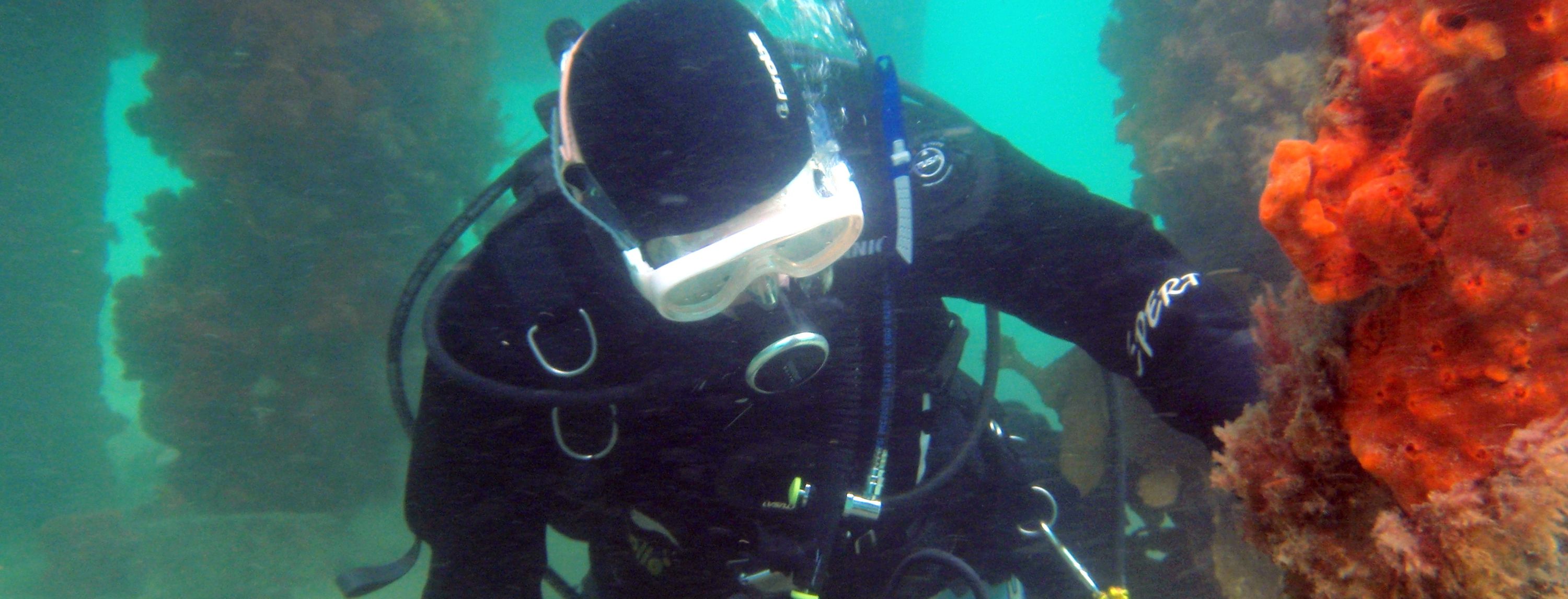 Diving With Aquability Diving Australia with Aquability