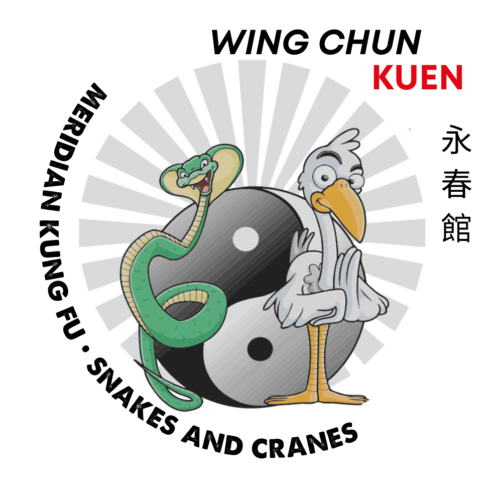 Meridian Kung Fu (UK) Instructor Programme